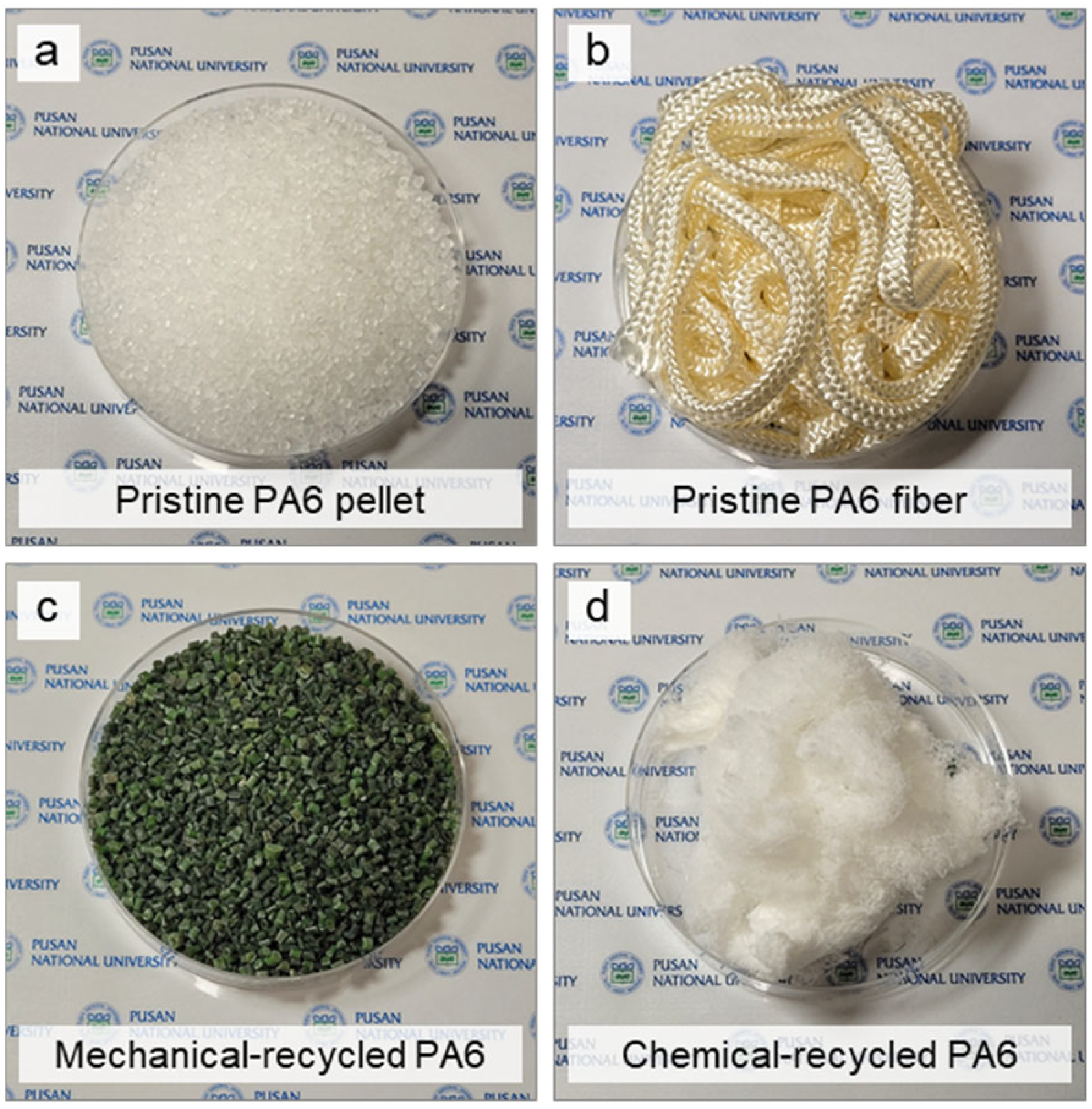 Polymers 16 03152 g001
