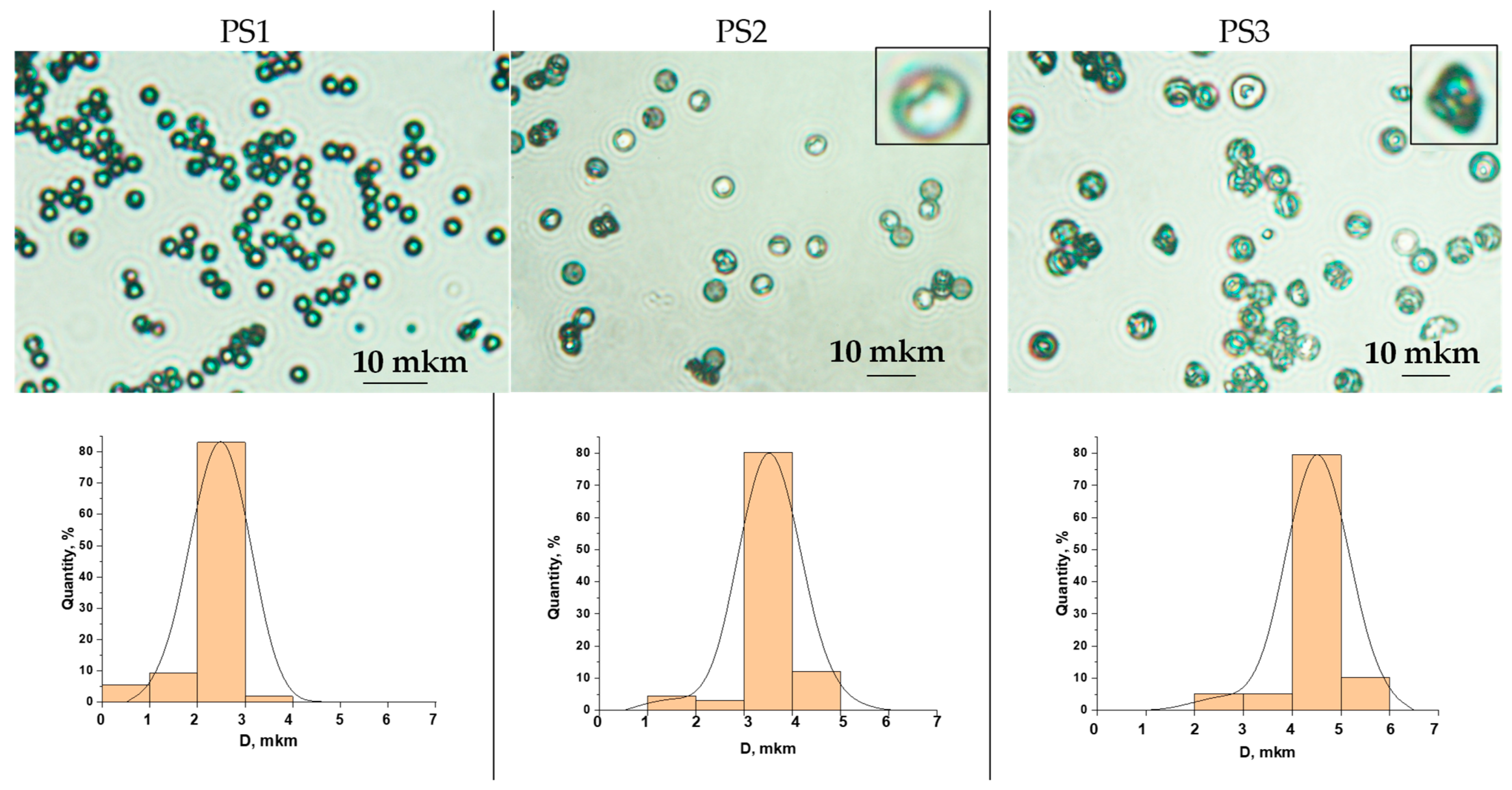 Polymers 16 03159 g001