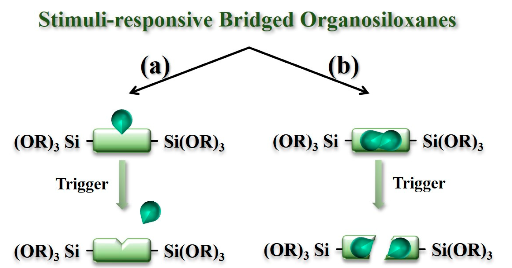 Polymers 16 03163 g001
