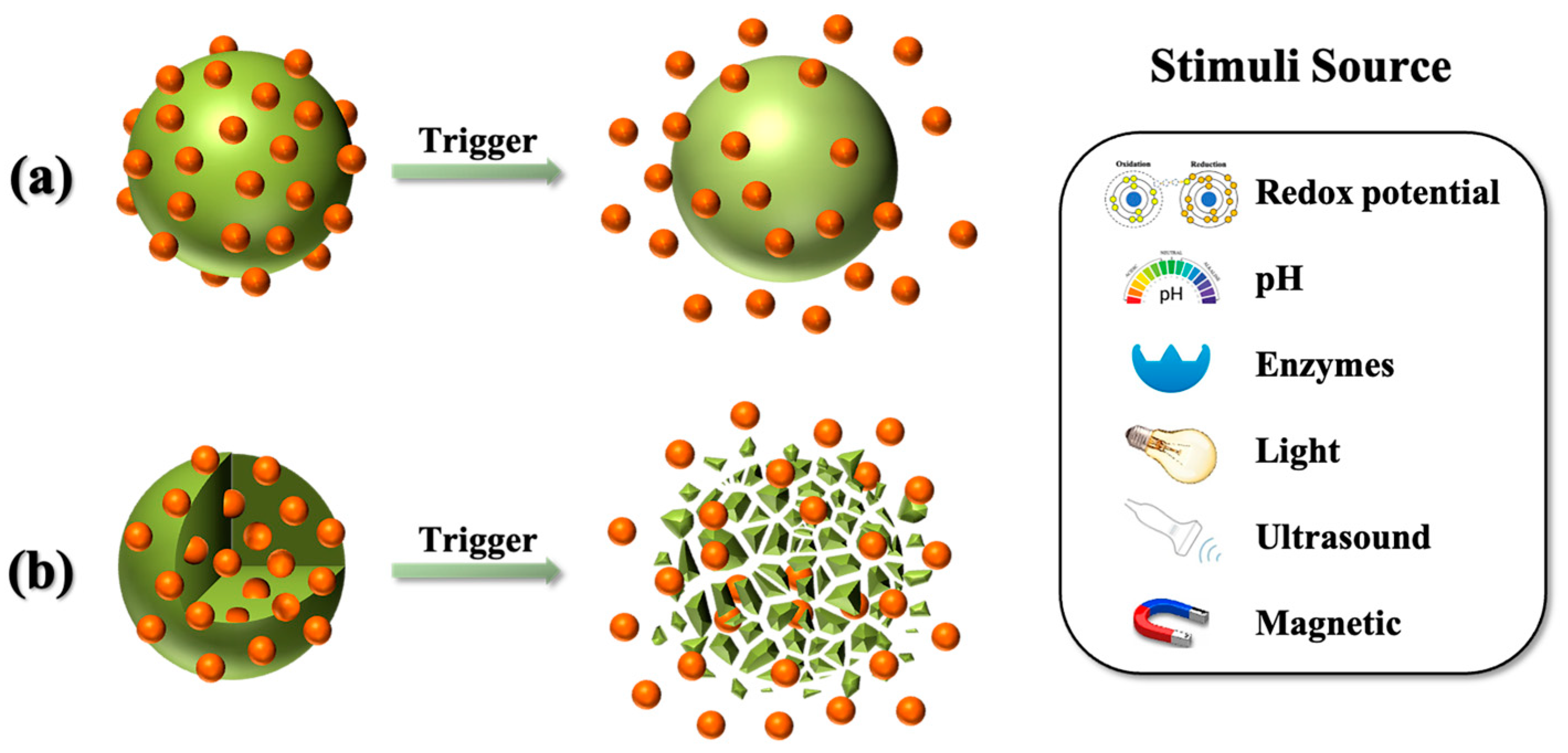 Polymers 16 03163 g003