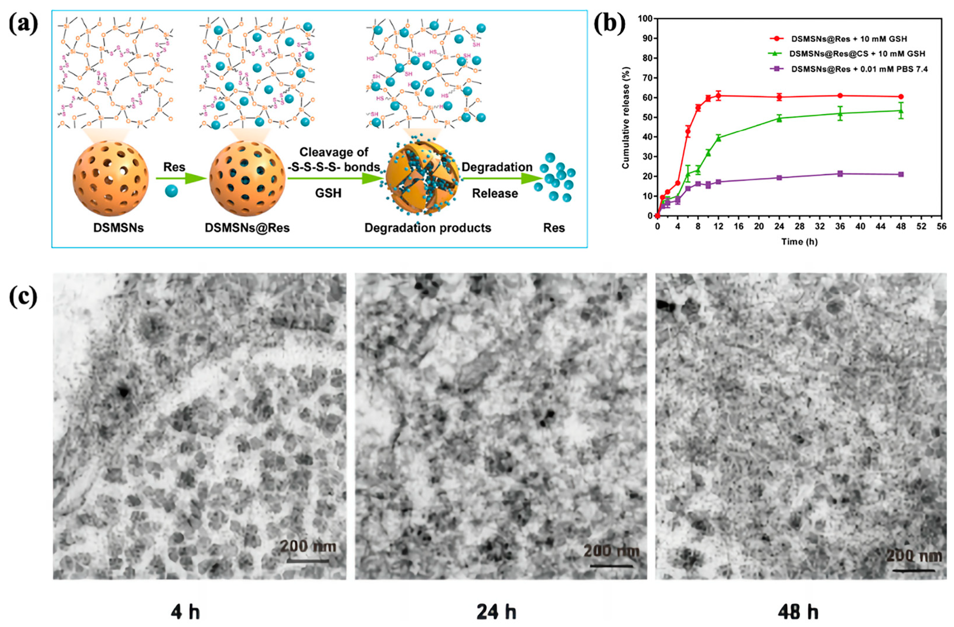 Polymers 16 03163 g006