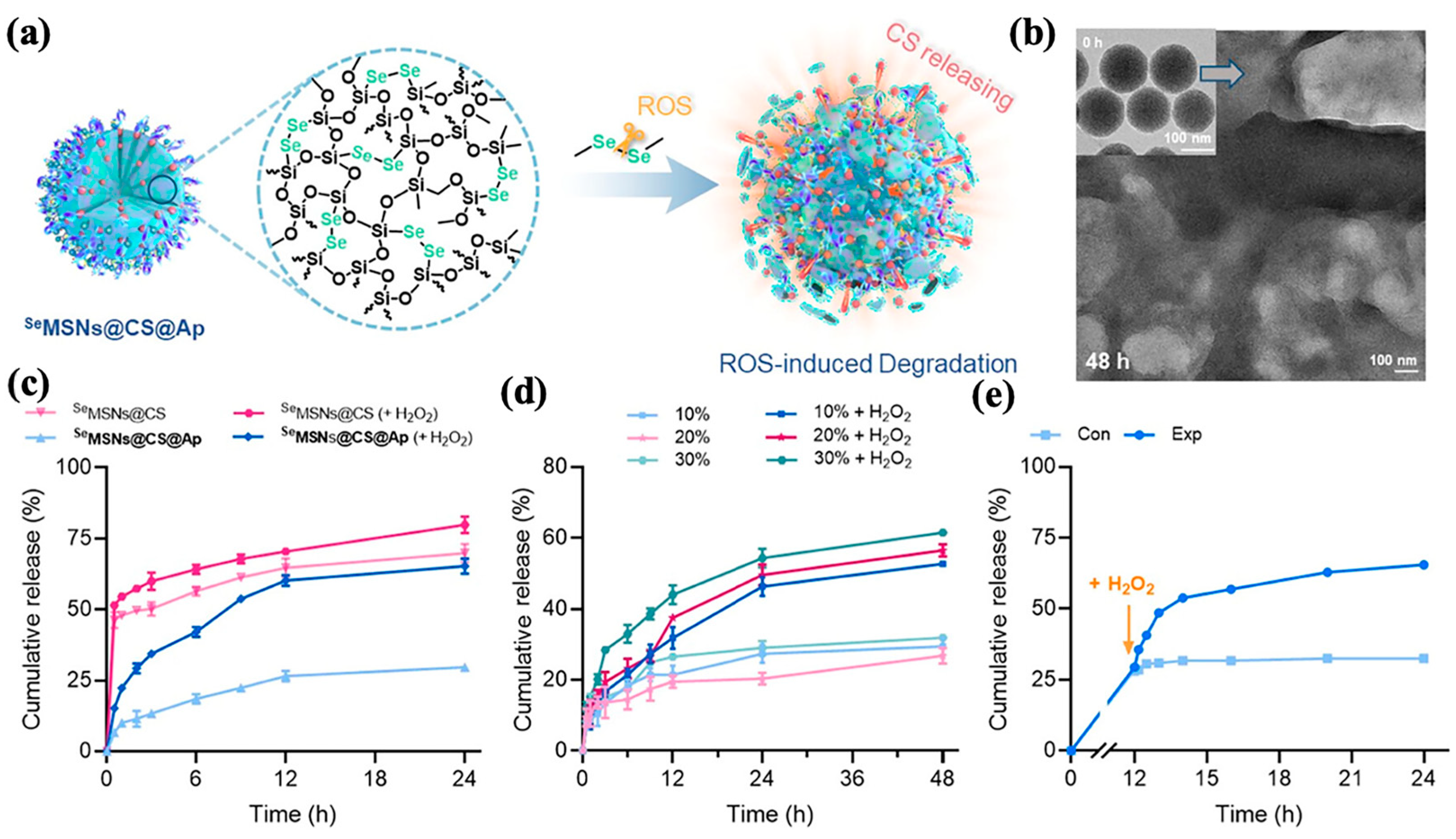 Polymers 16 03163 g007