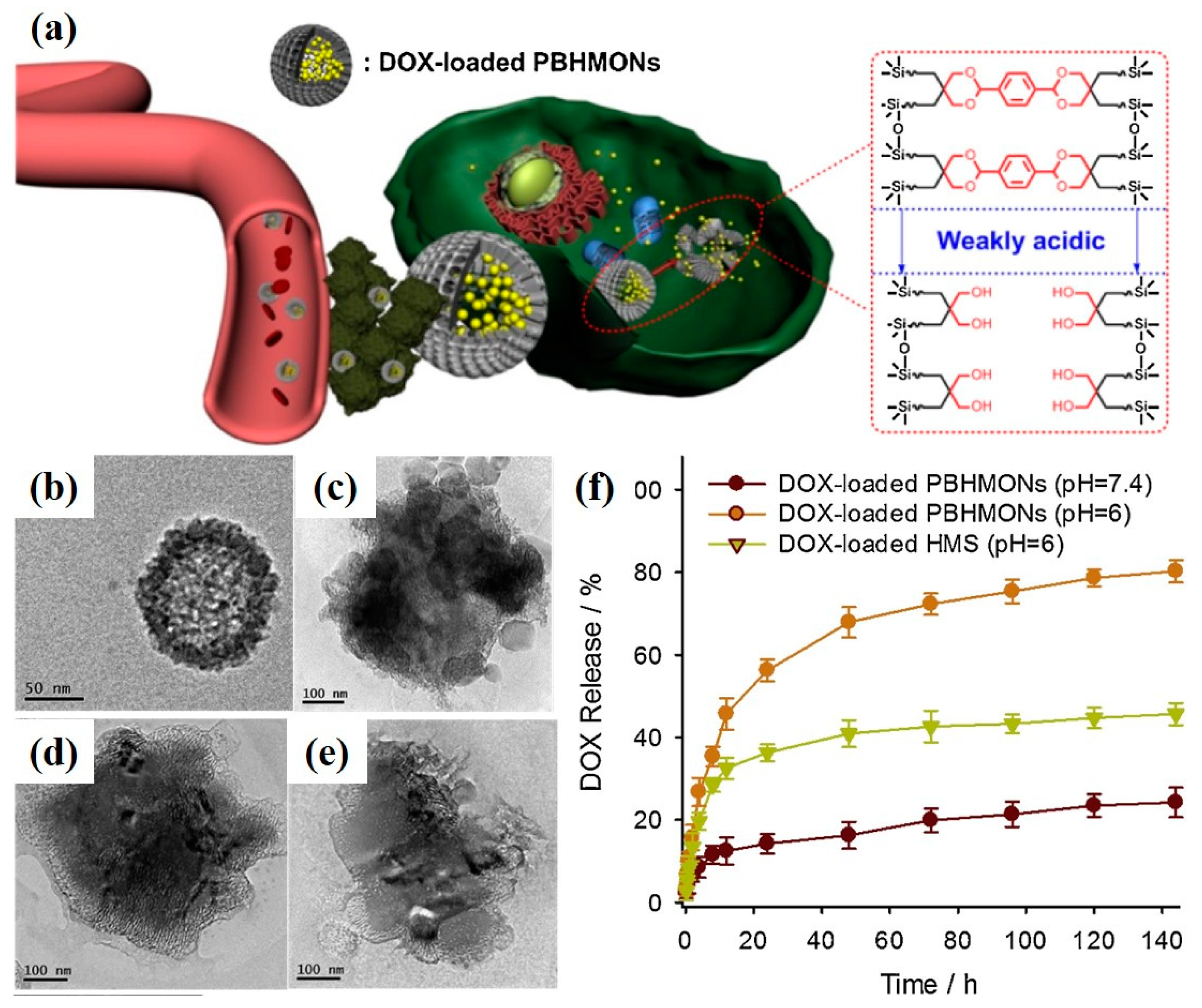 Polymers 16 03163 g012