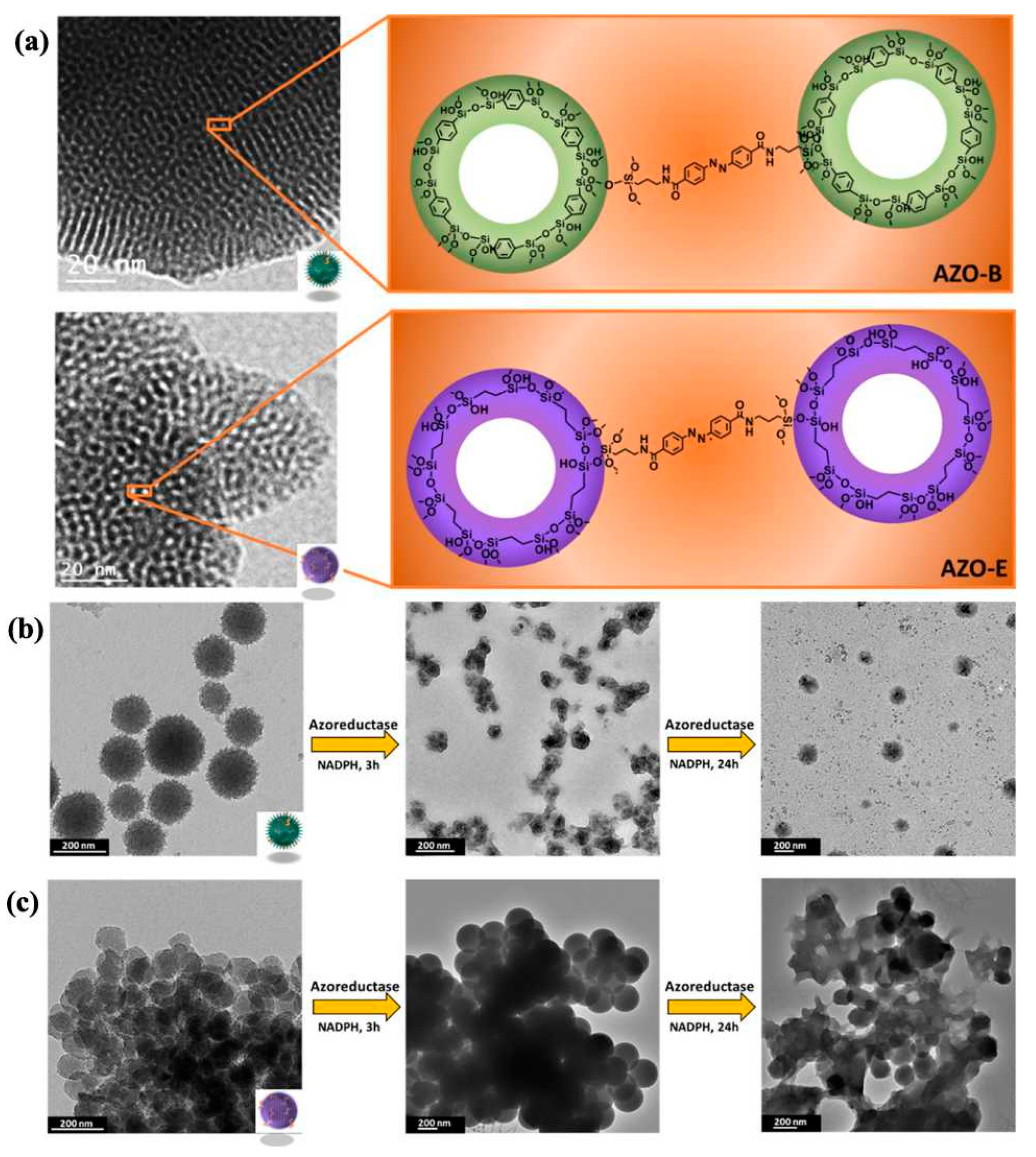 Polymers 16 03163 g014