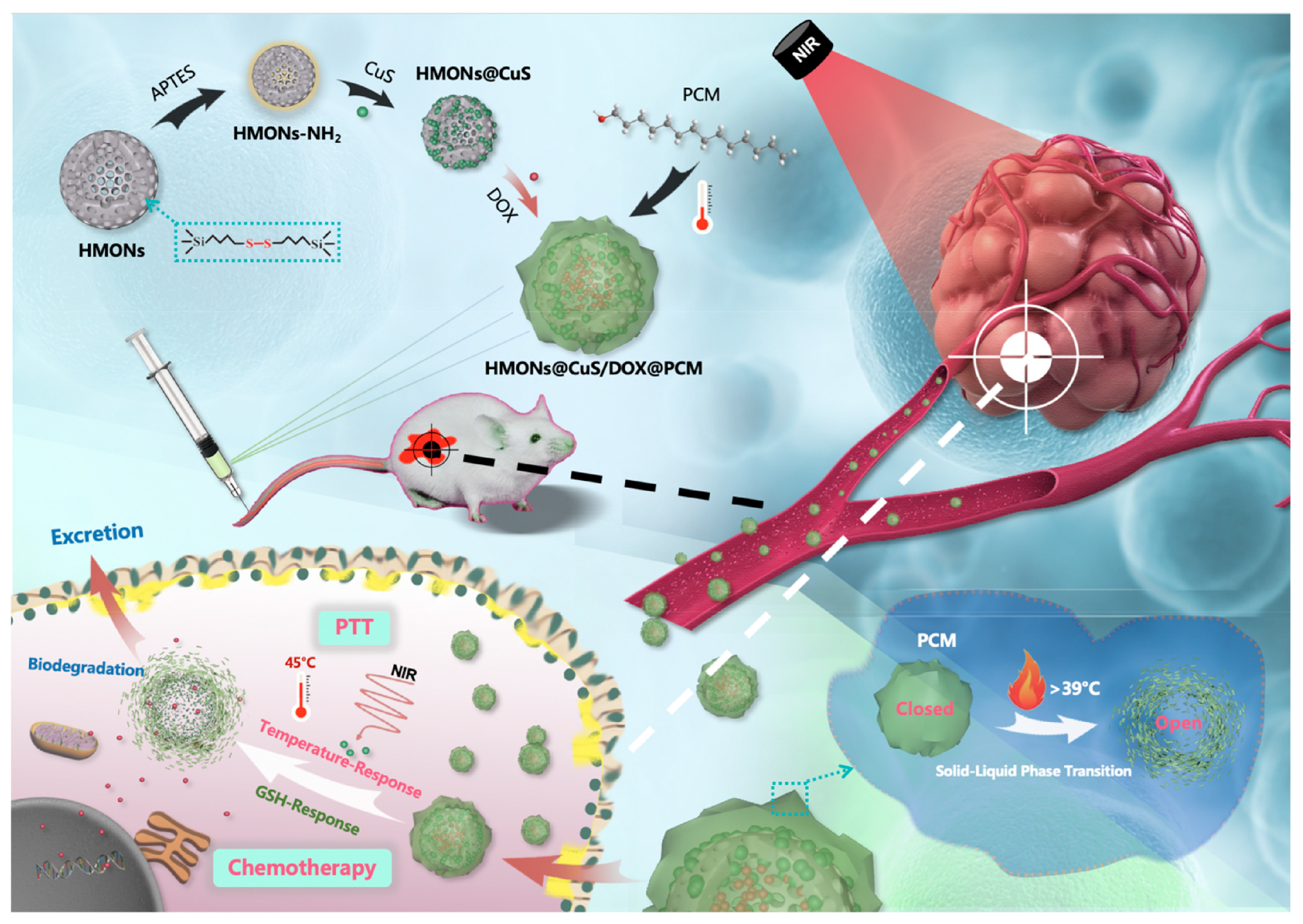 Polymers 16 03163 g020