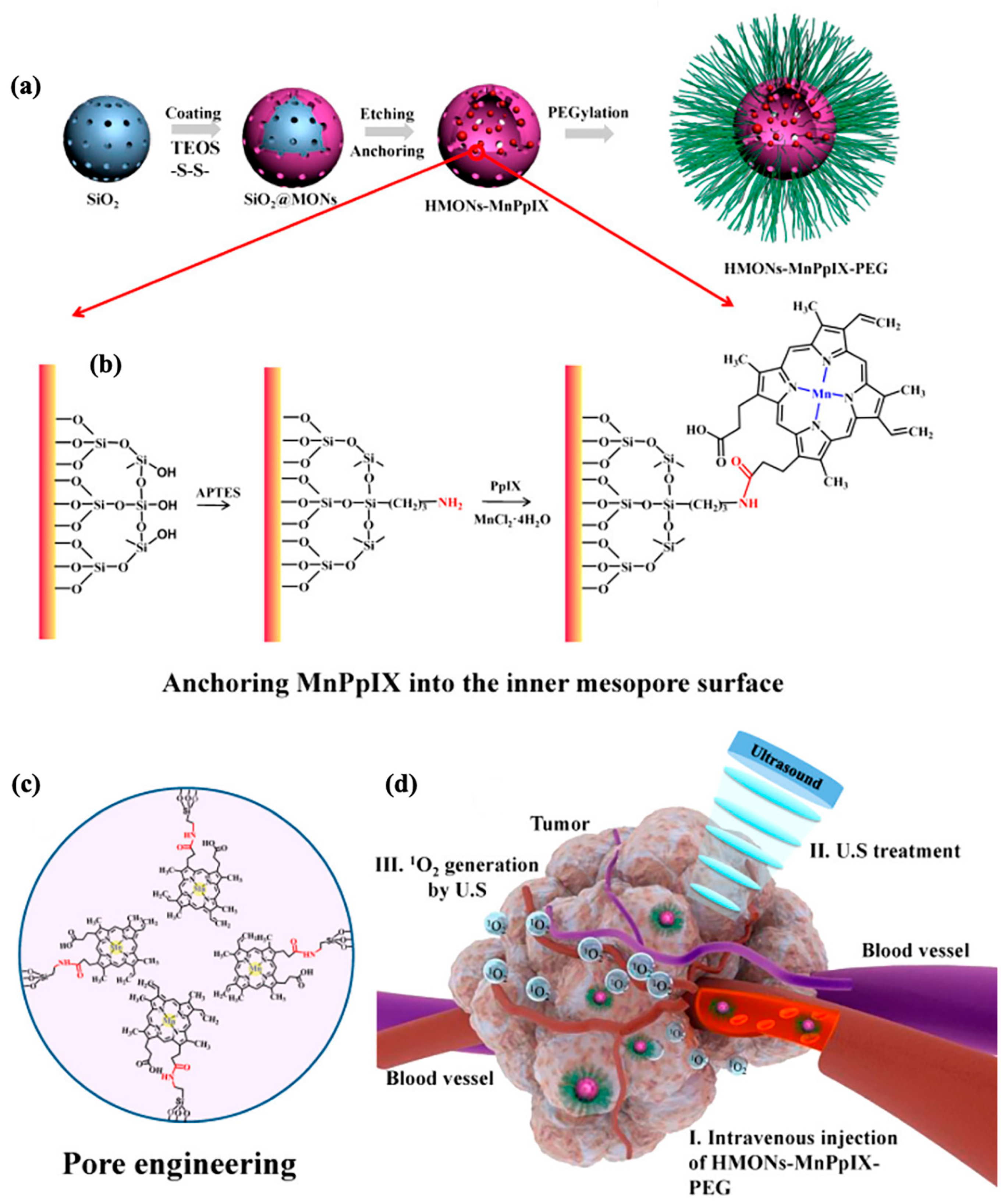 Polymers 16 03163 g022