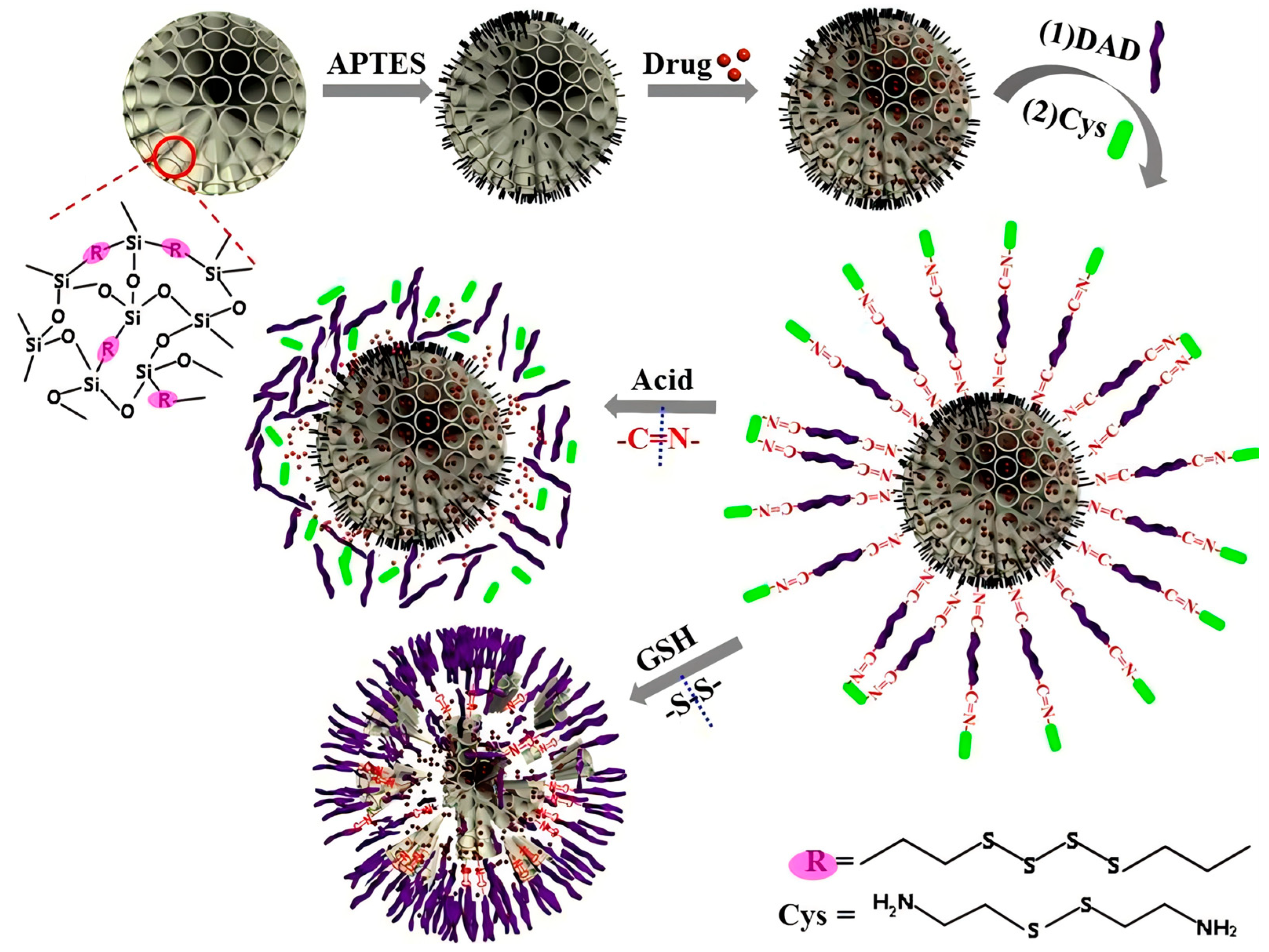 Polymers 16 03163 g024