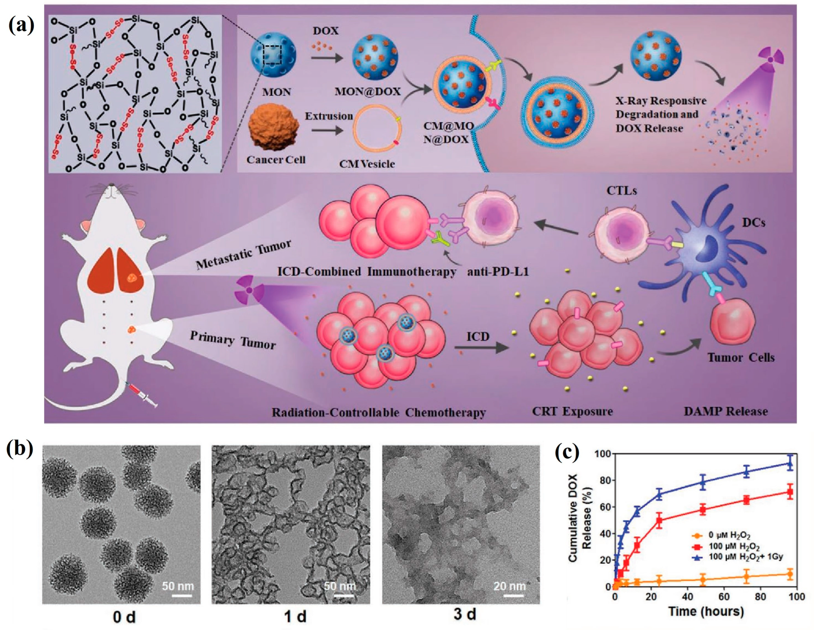 Polymers 16 03163 g025