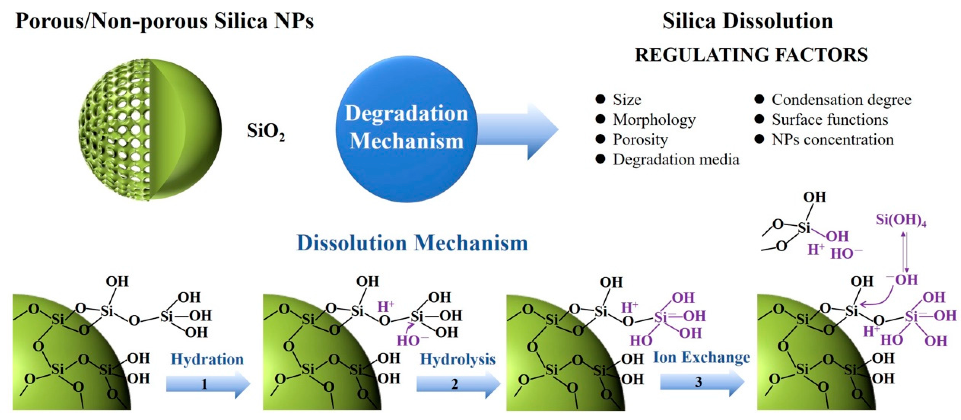 Polymers 16 03163 g026