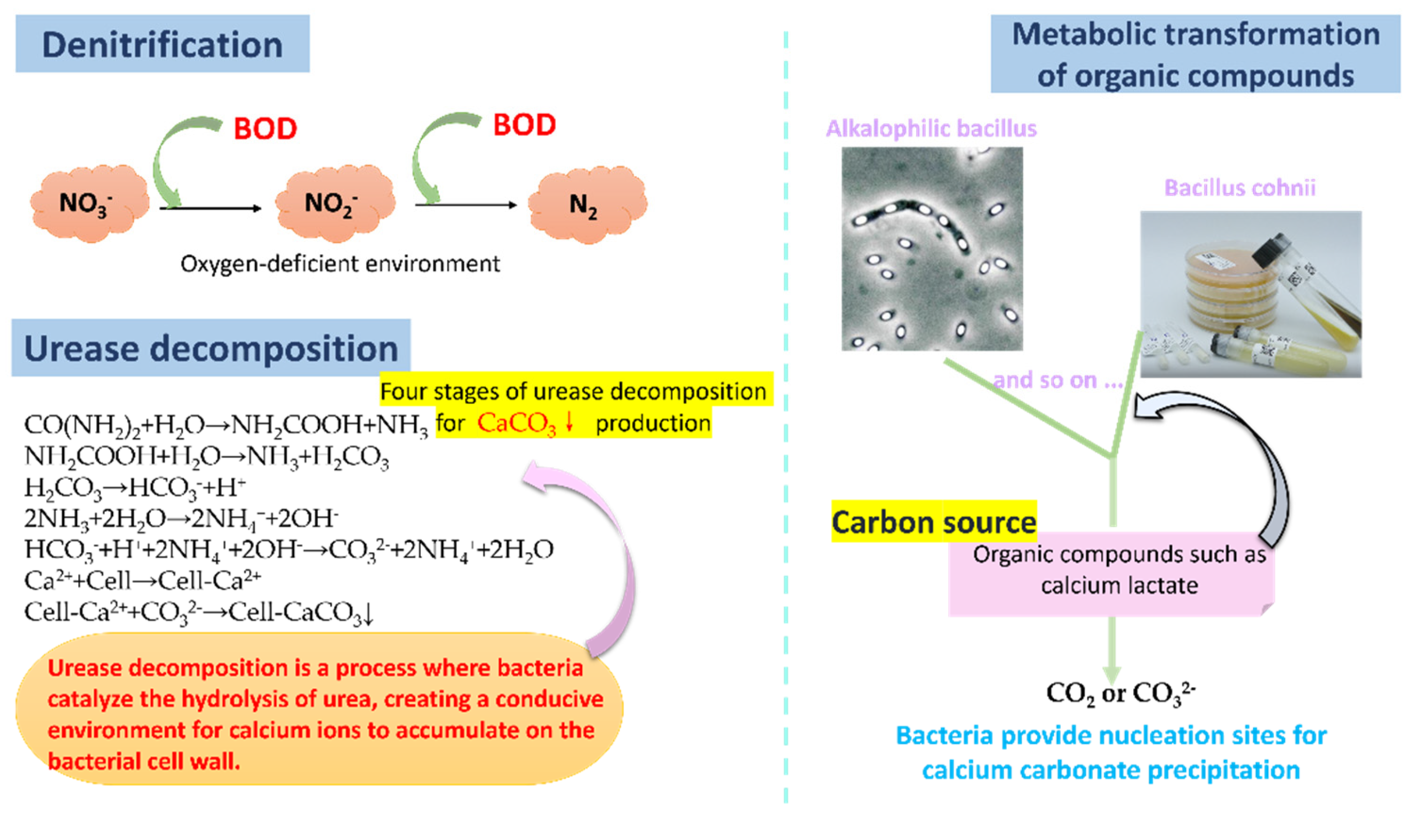 Polymers 16 03165 g006