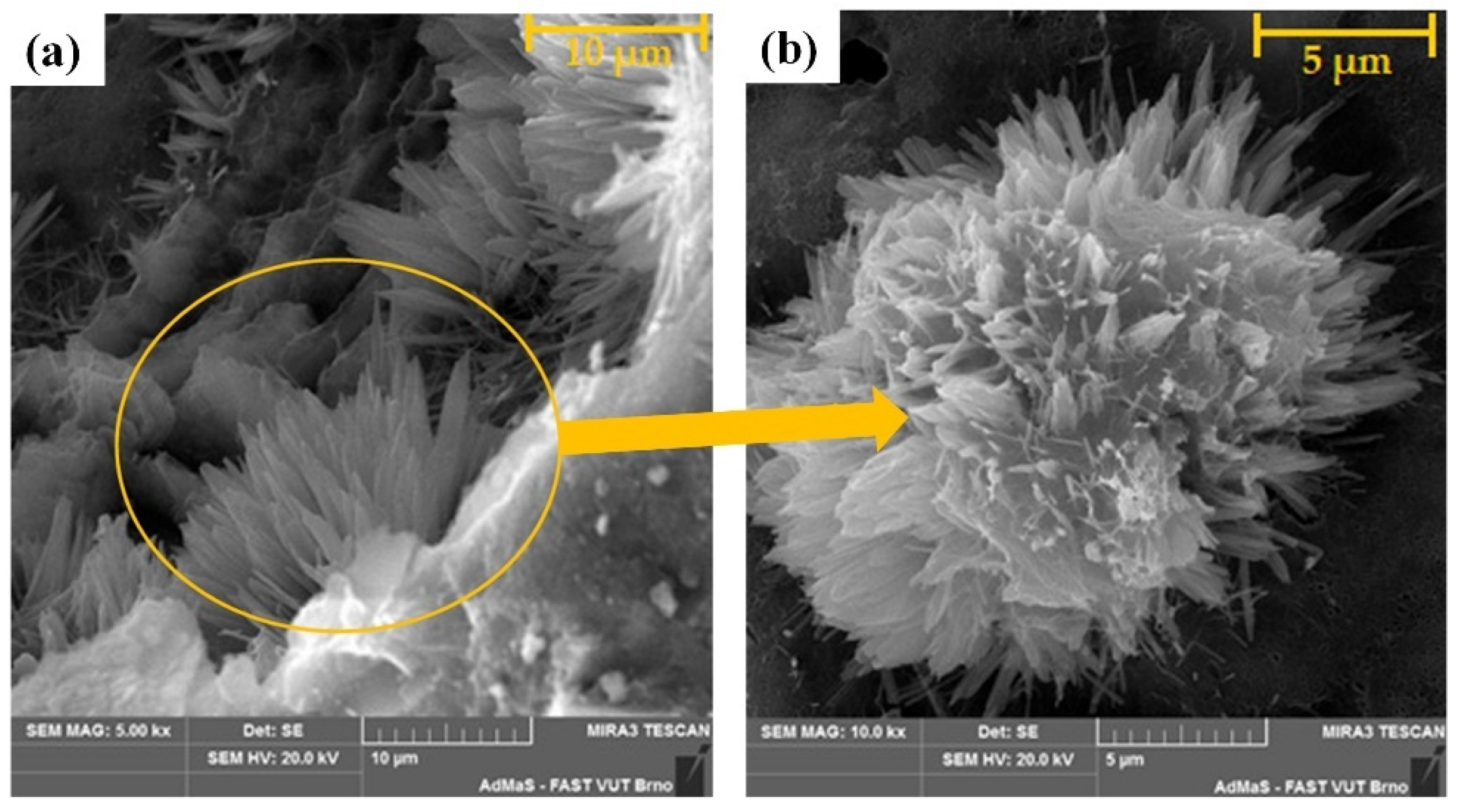 Polymers 16 03165 g010