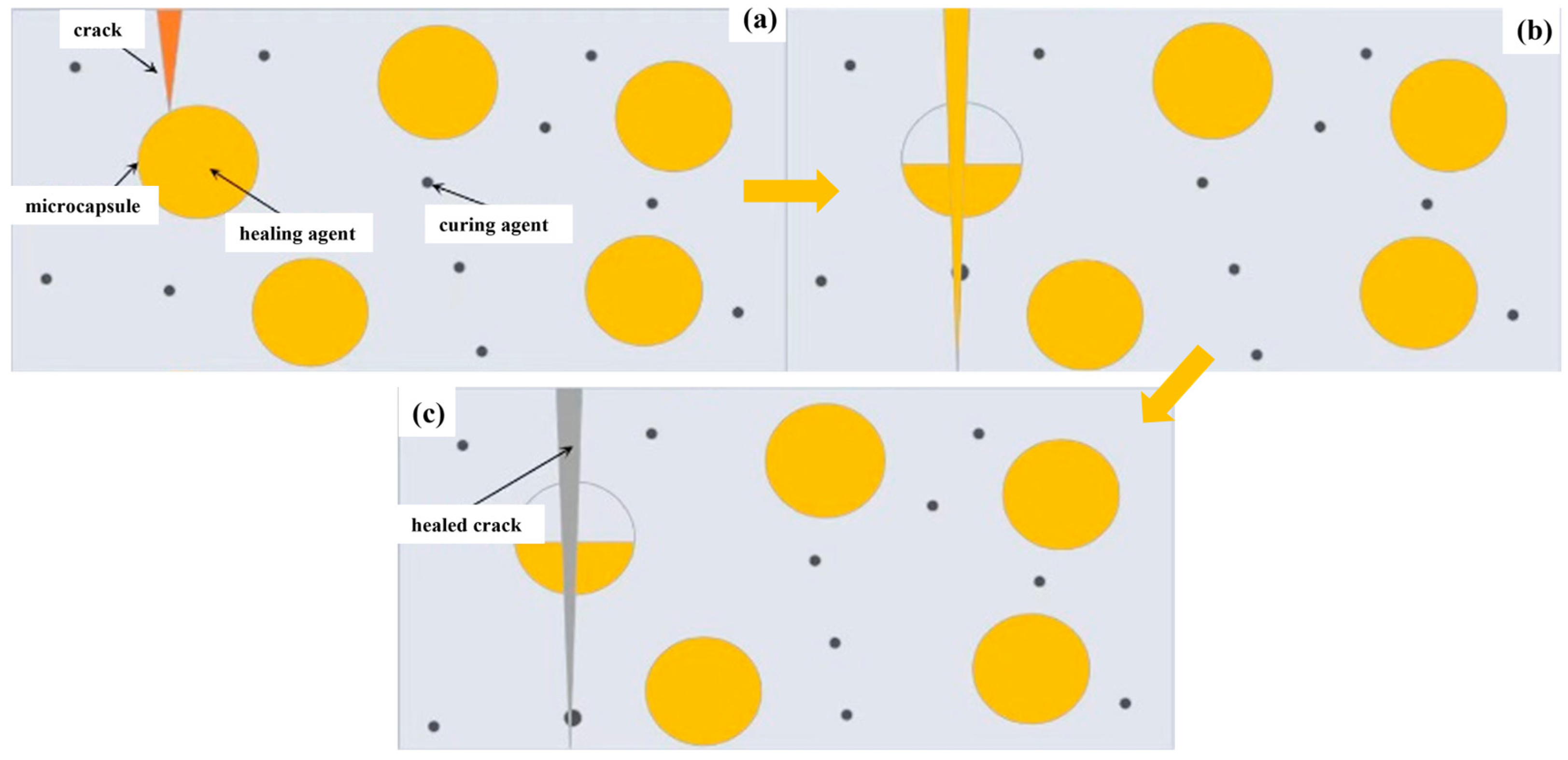 Polymers 16 03165 g013