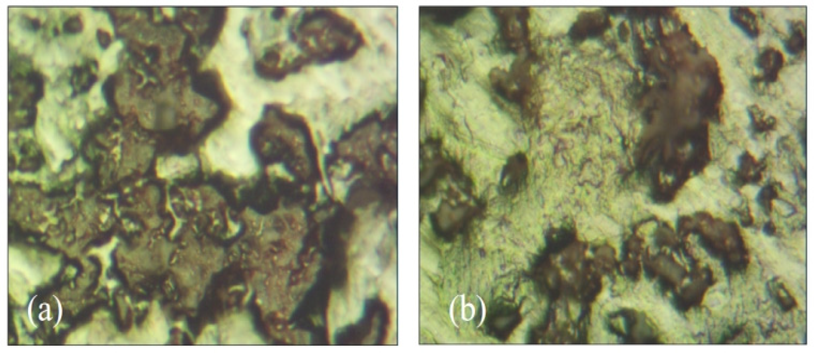 Polymers 16 03165 g026