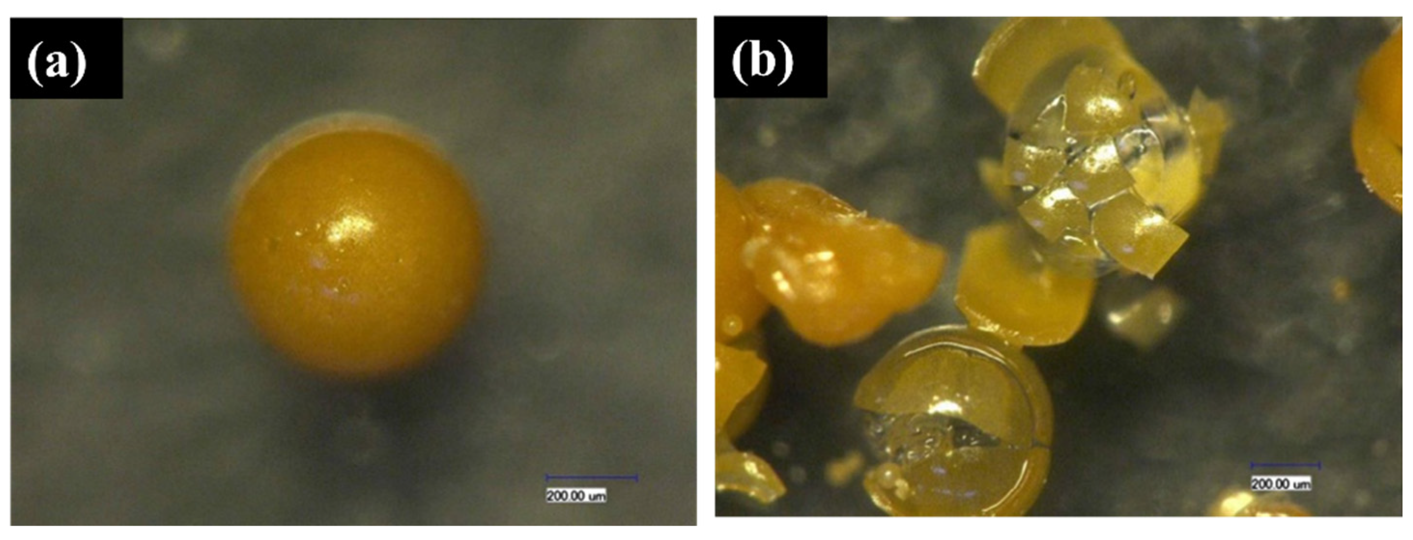 Polymers 16 03165 g027