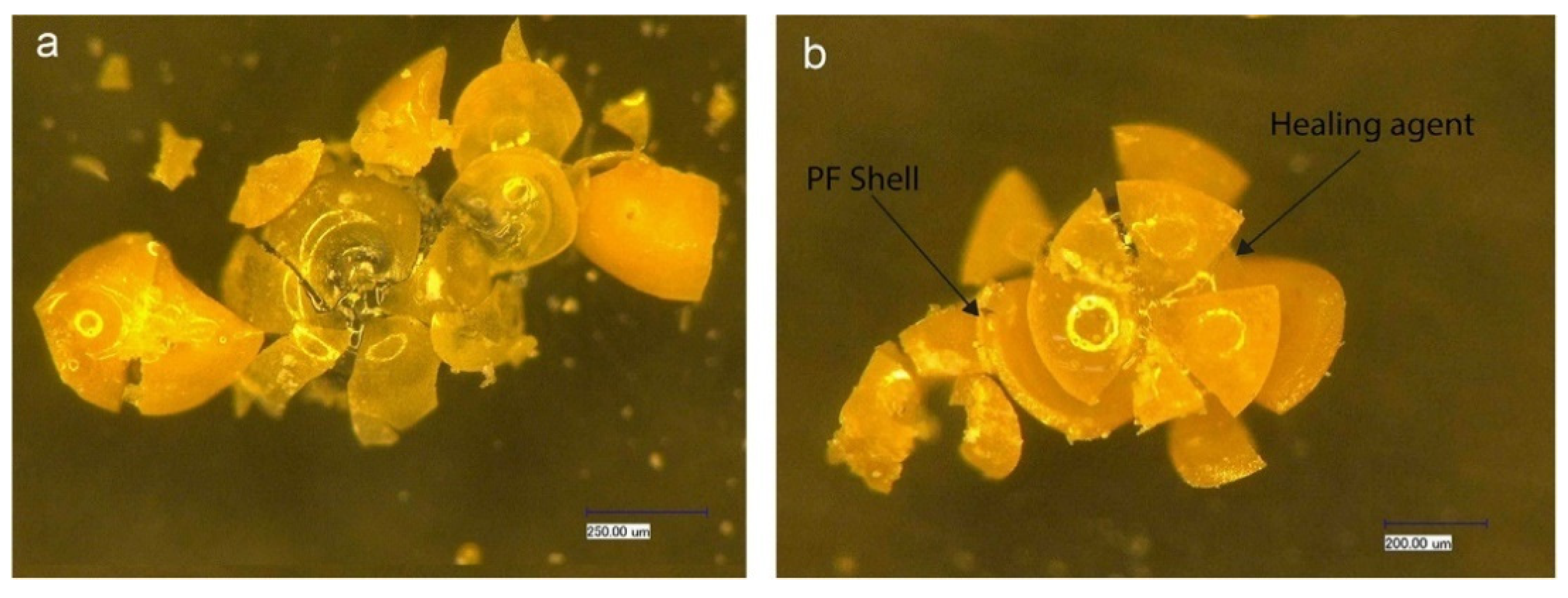 Polymers 16 03165 g028