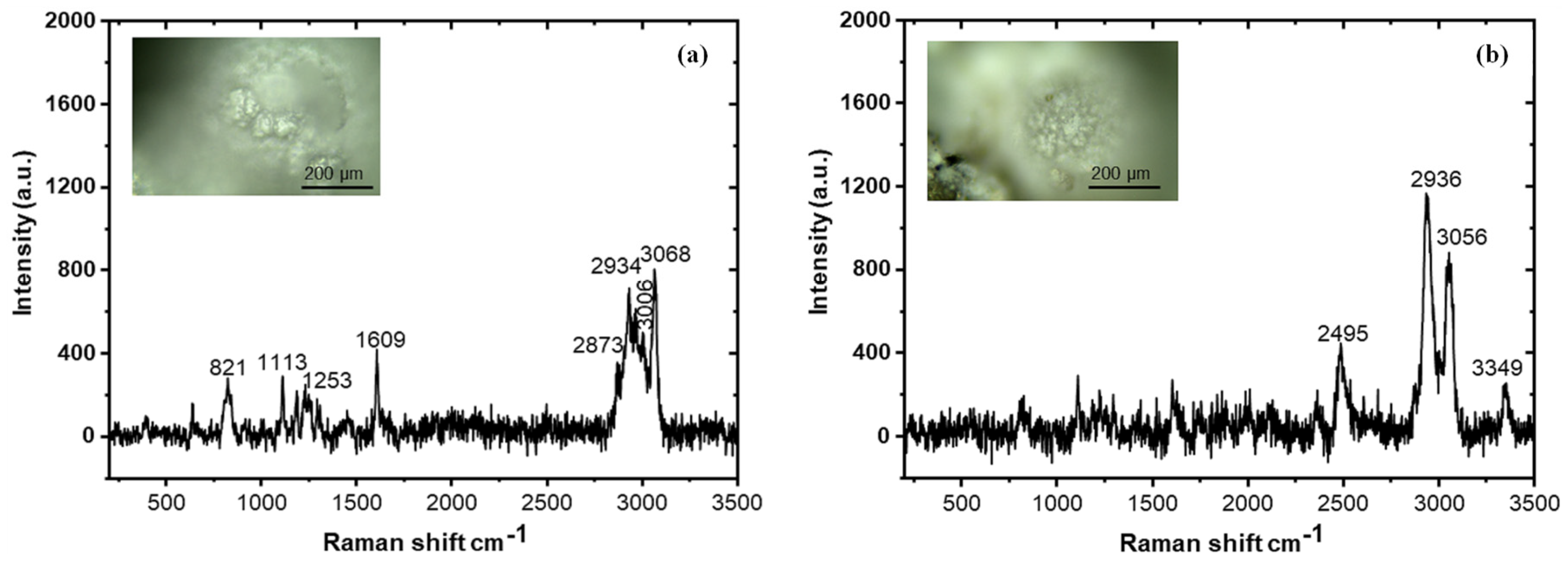 Polymers 16 03165 g033