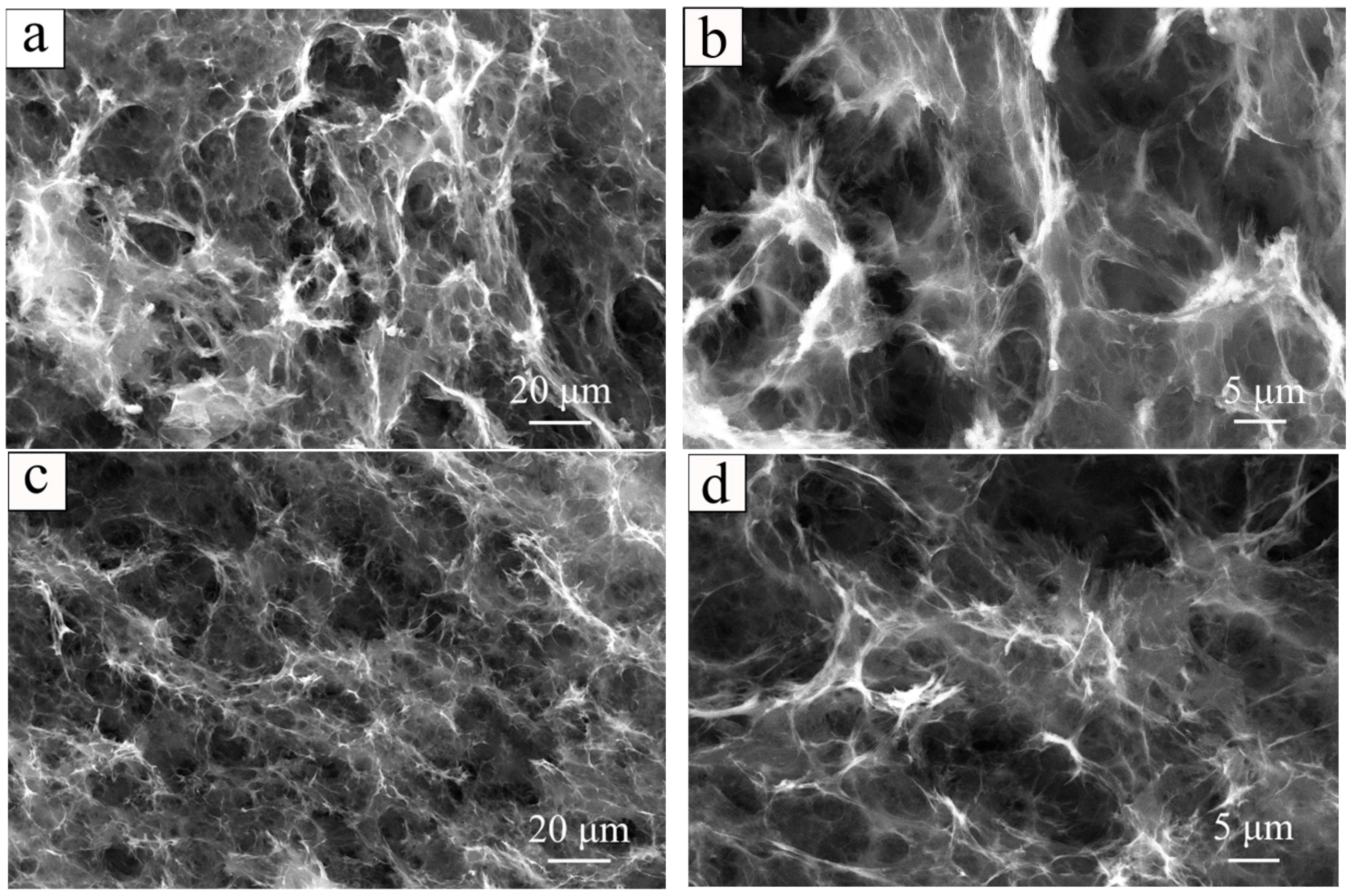 Polymers 16 03170 g002