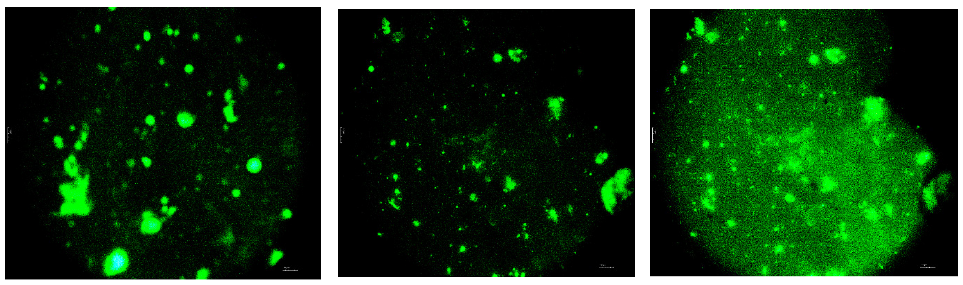 Polymers 16 03177 g008