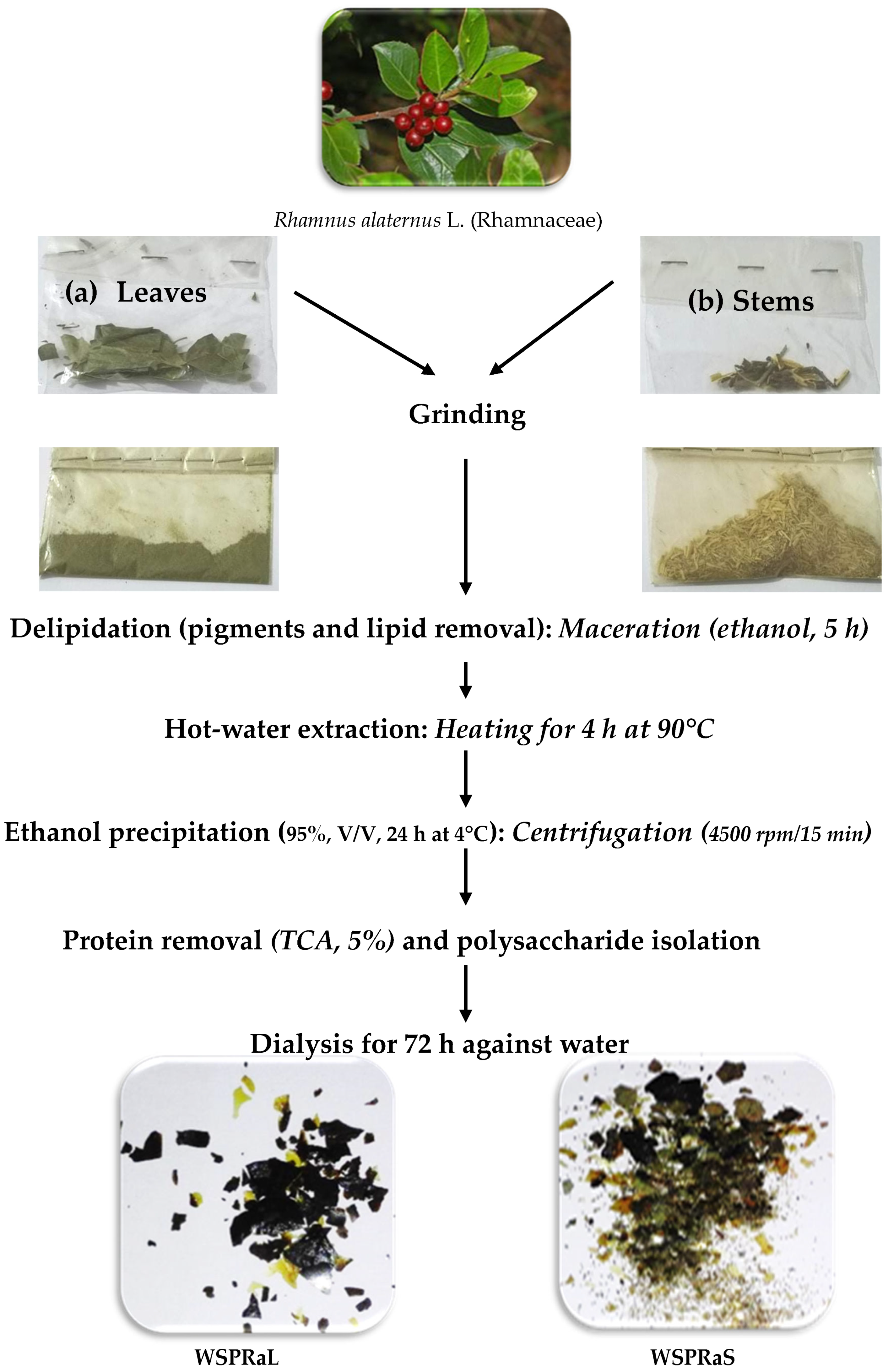 Polymers 16 03180 g001