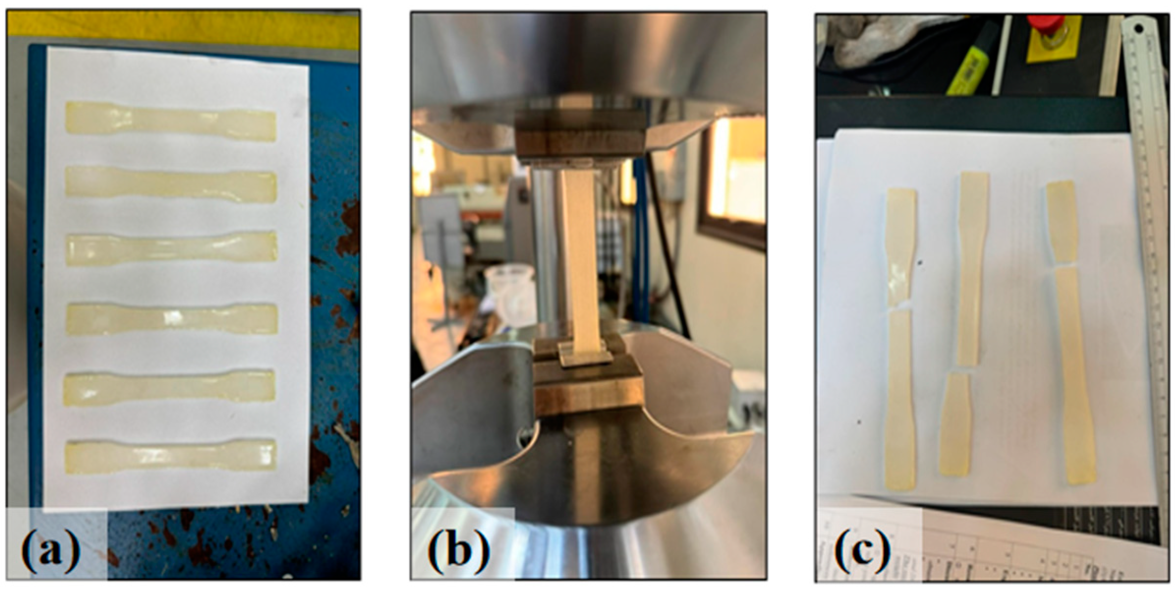 Polymers 16 03185 g002