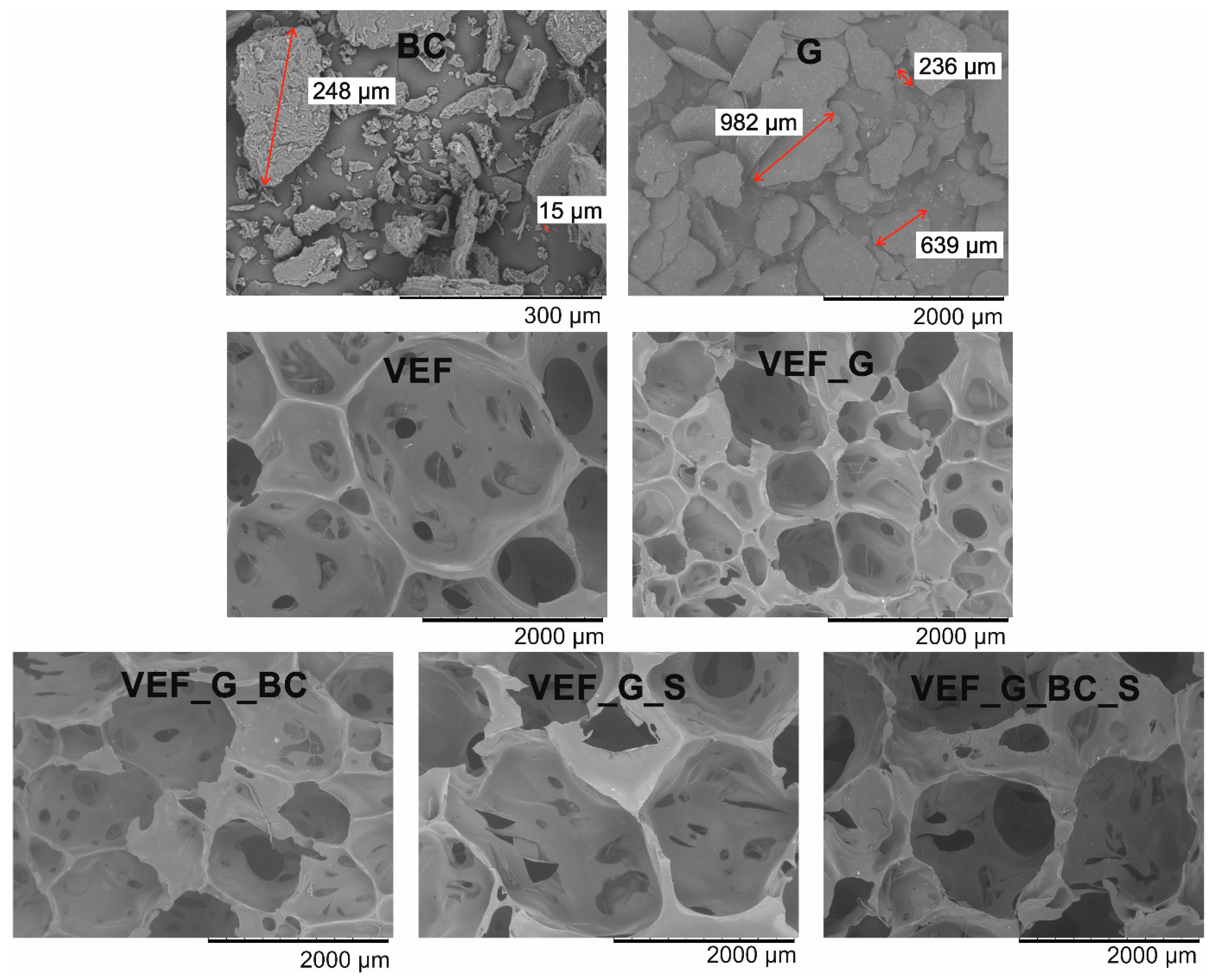 Polymers 16 03189 g001