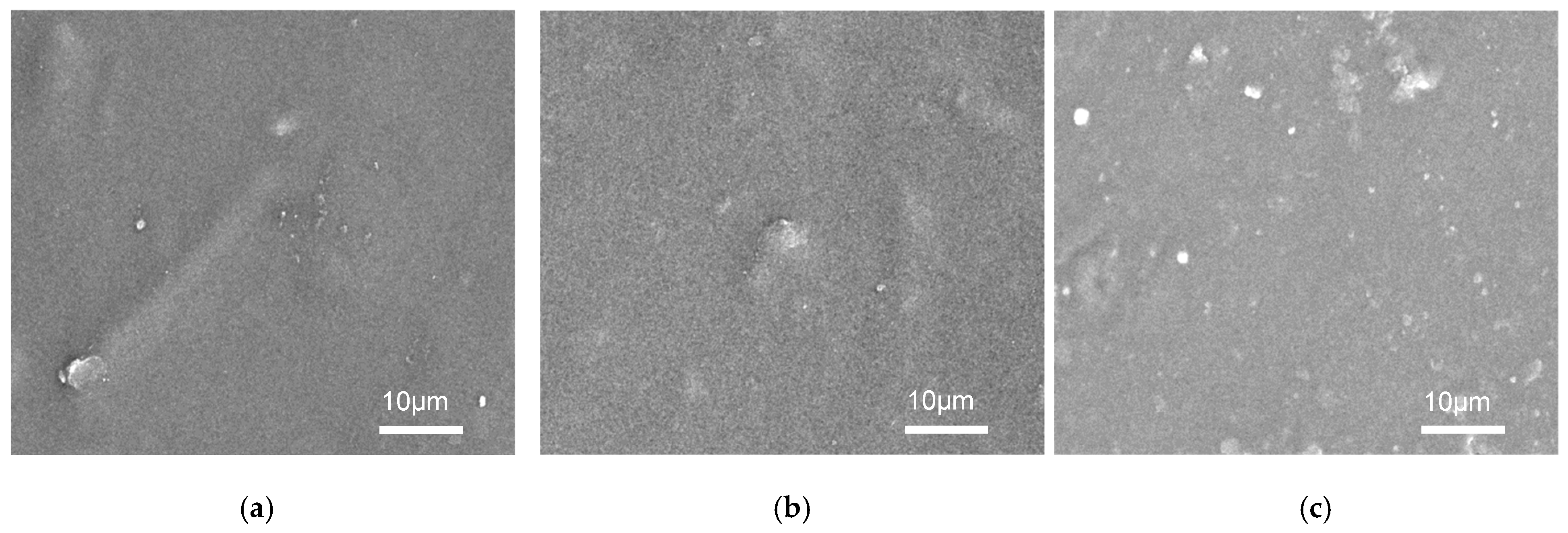 Polymers 16 03195 g004
