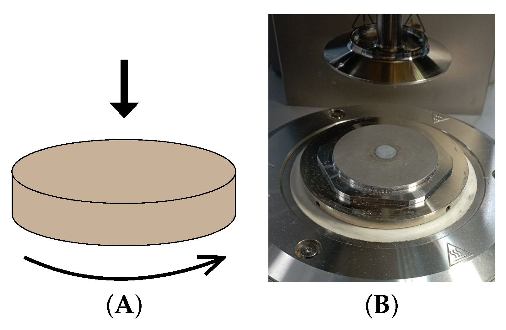 Polymers 16 03200 g001