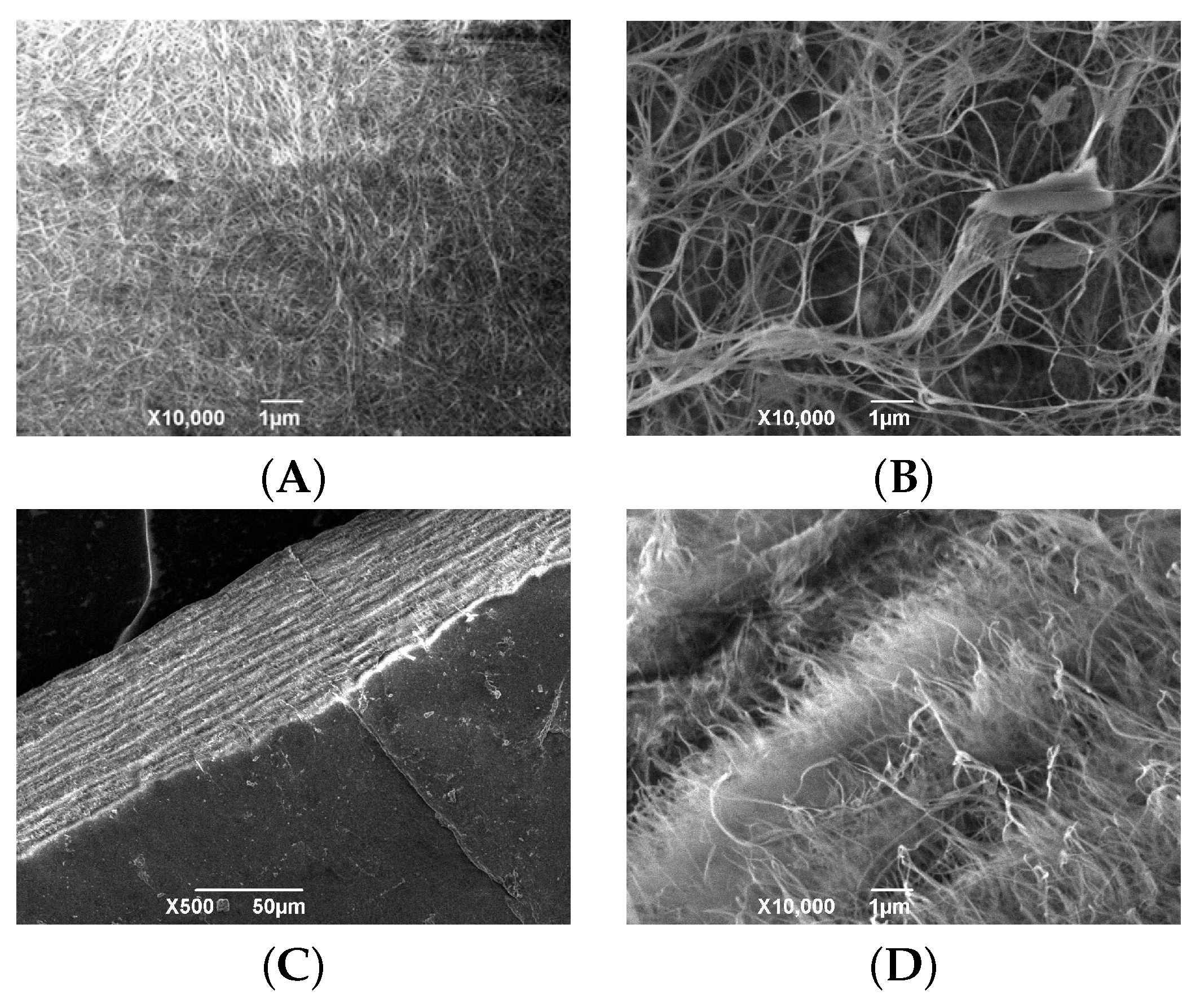 Polymers 16 03200 g003