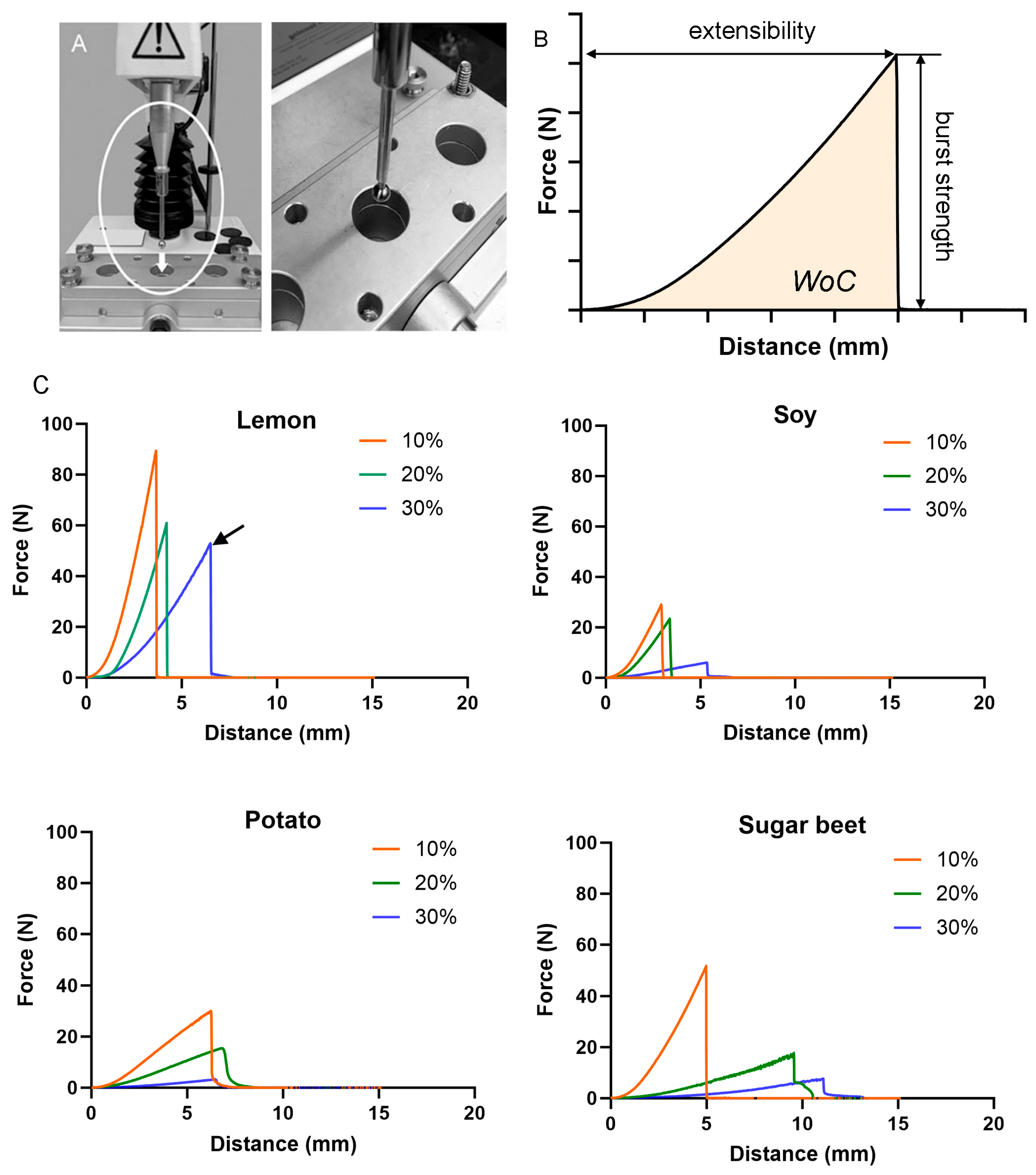 Polymers 16 03202 g001