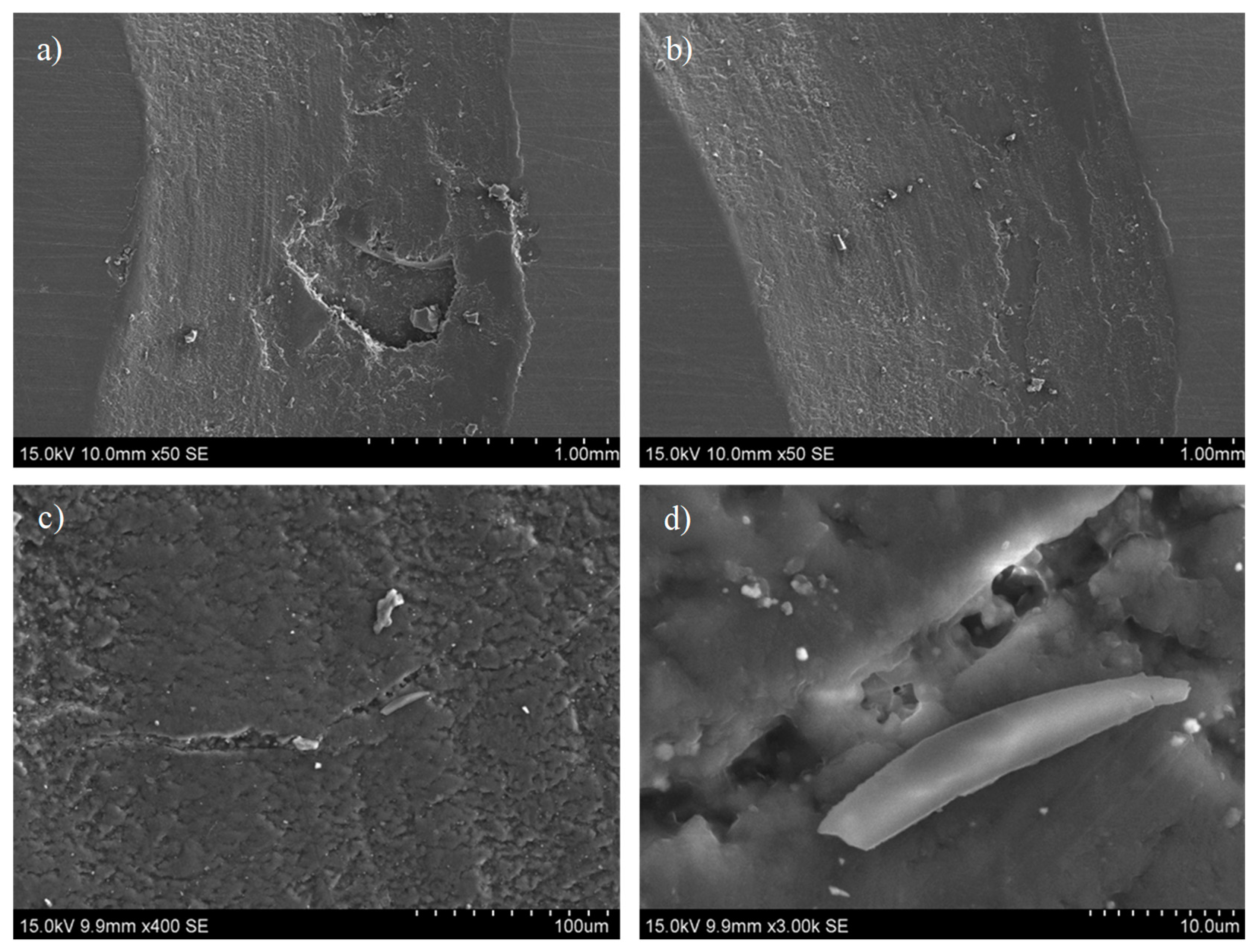 Polymers 16 03205 g008