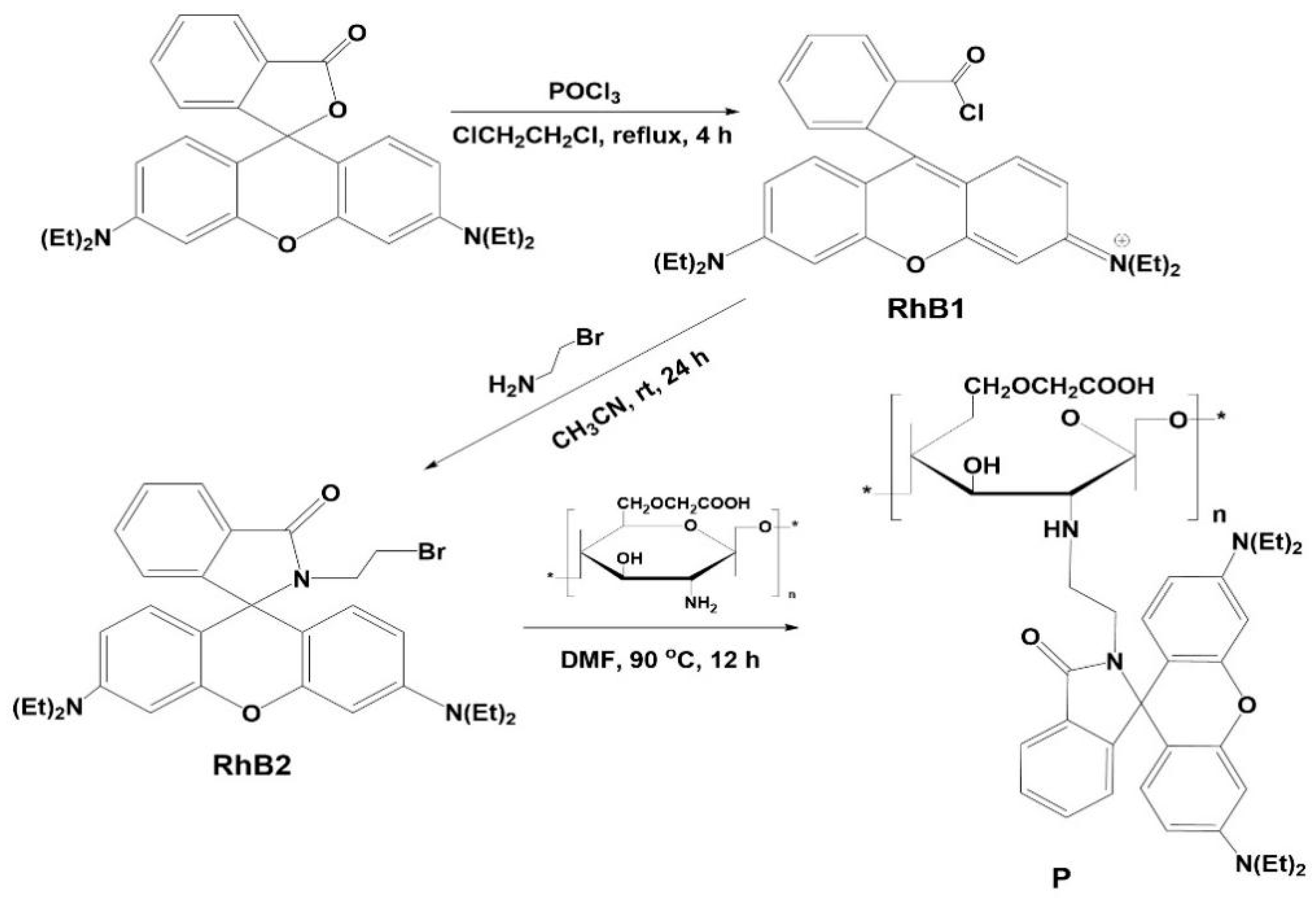 Polymers 16 03206 g001