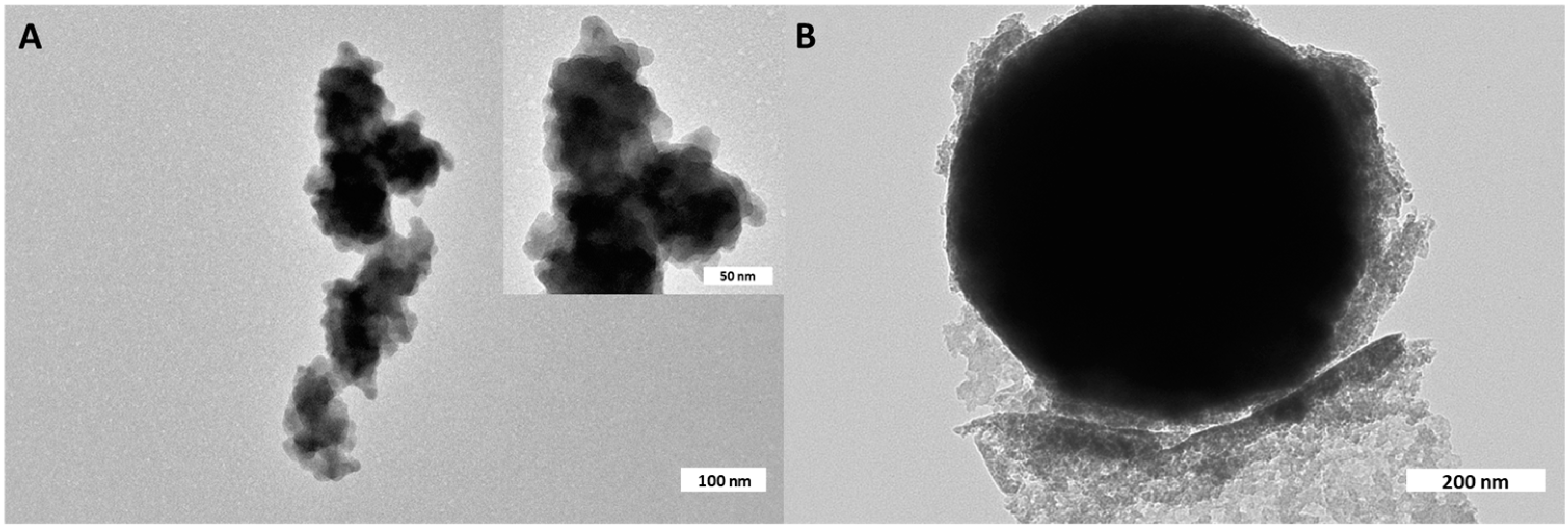 Polymers 16 03209 g007