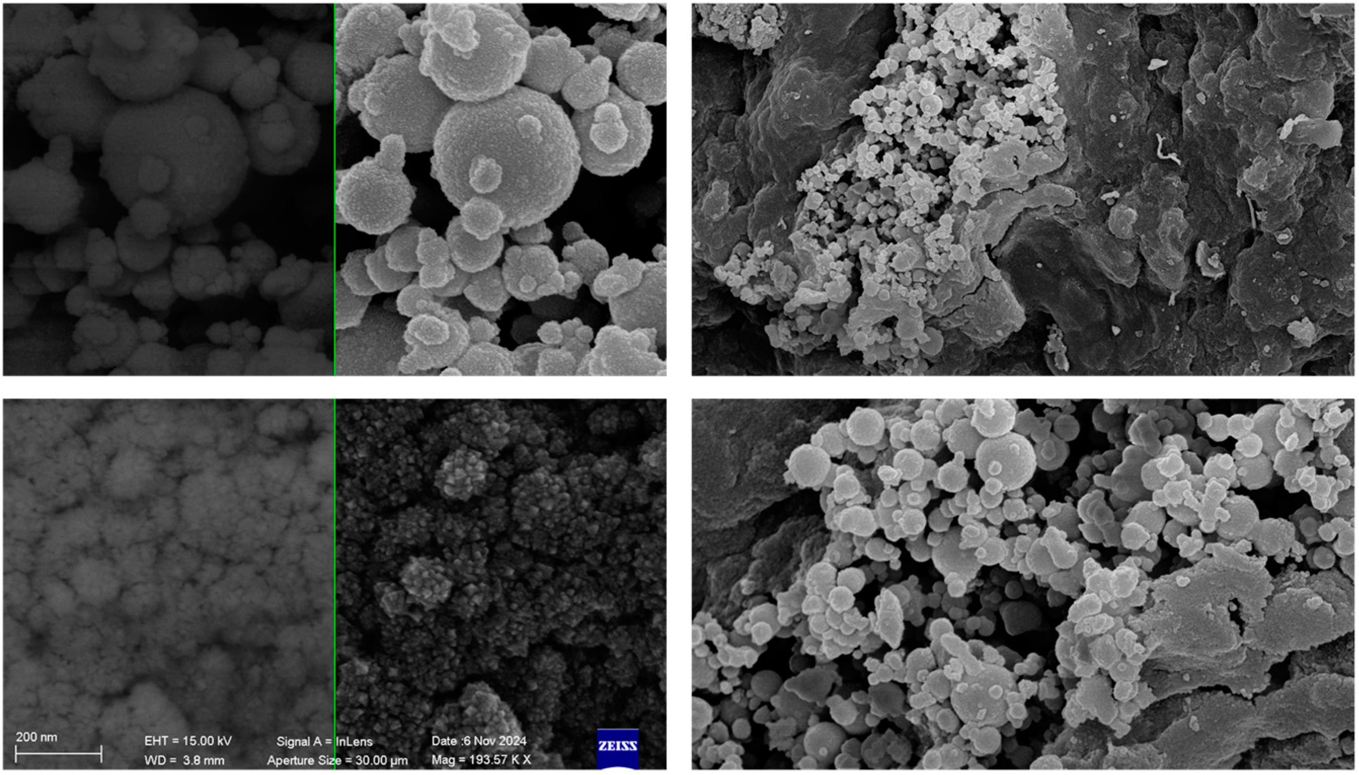 Polymers 16 03209 g008