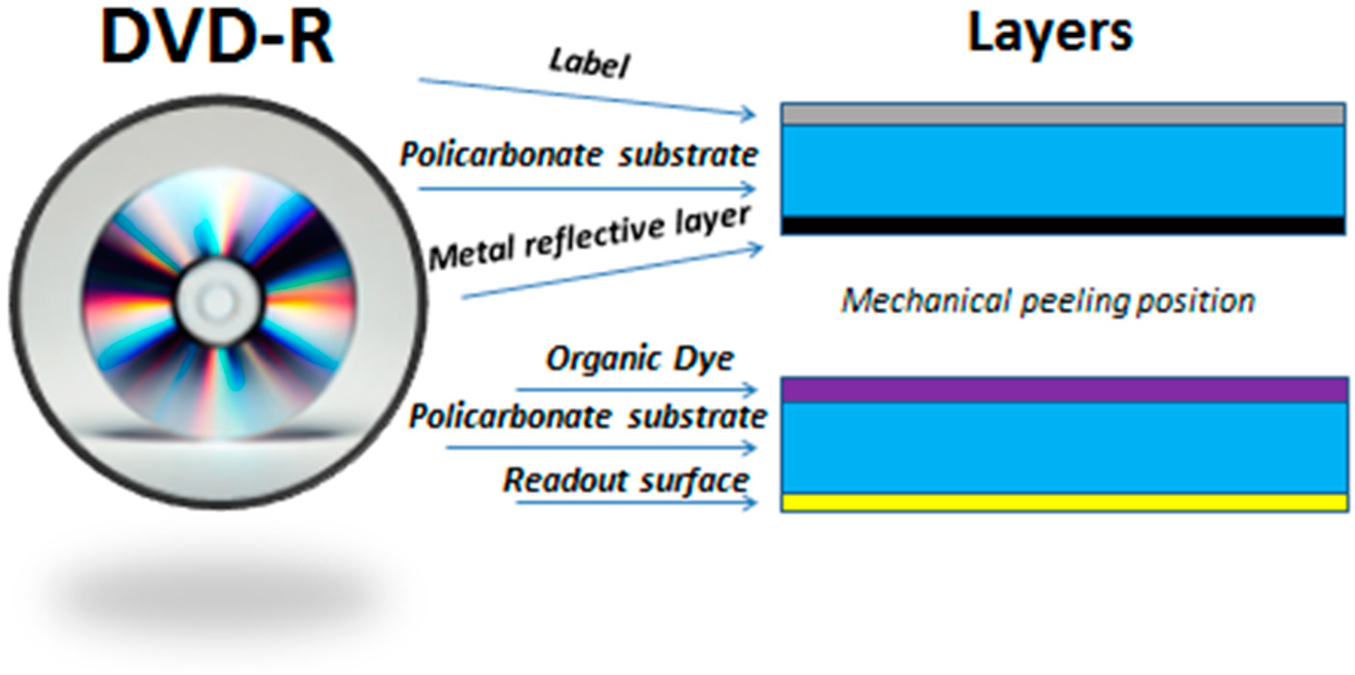 Polymers 16 03209 g012