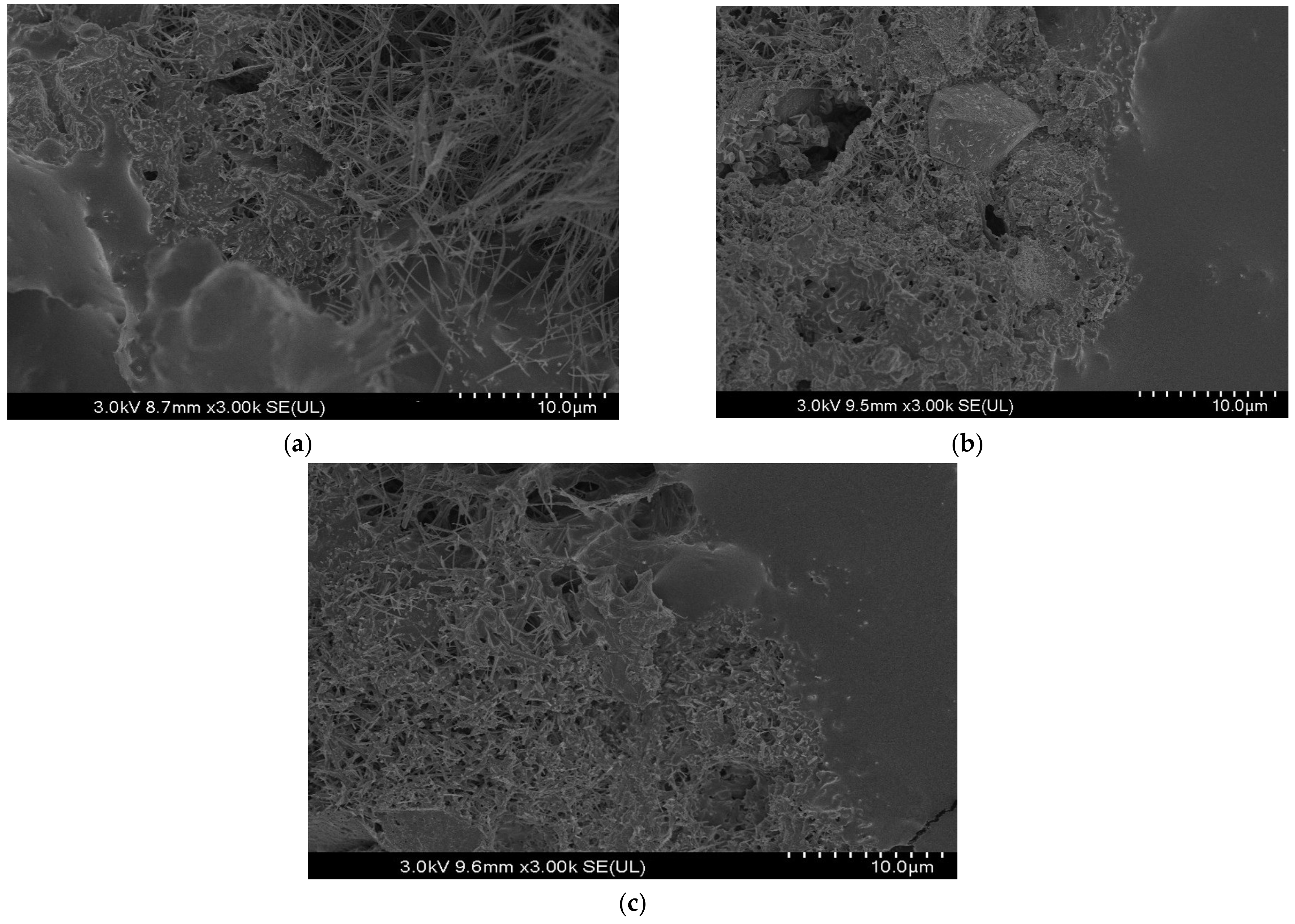 Polymers 16 03210 g009