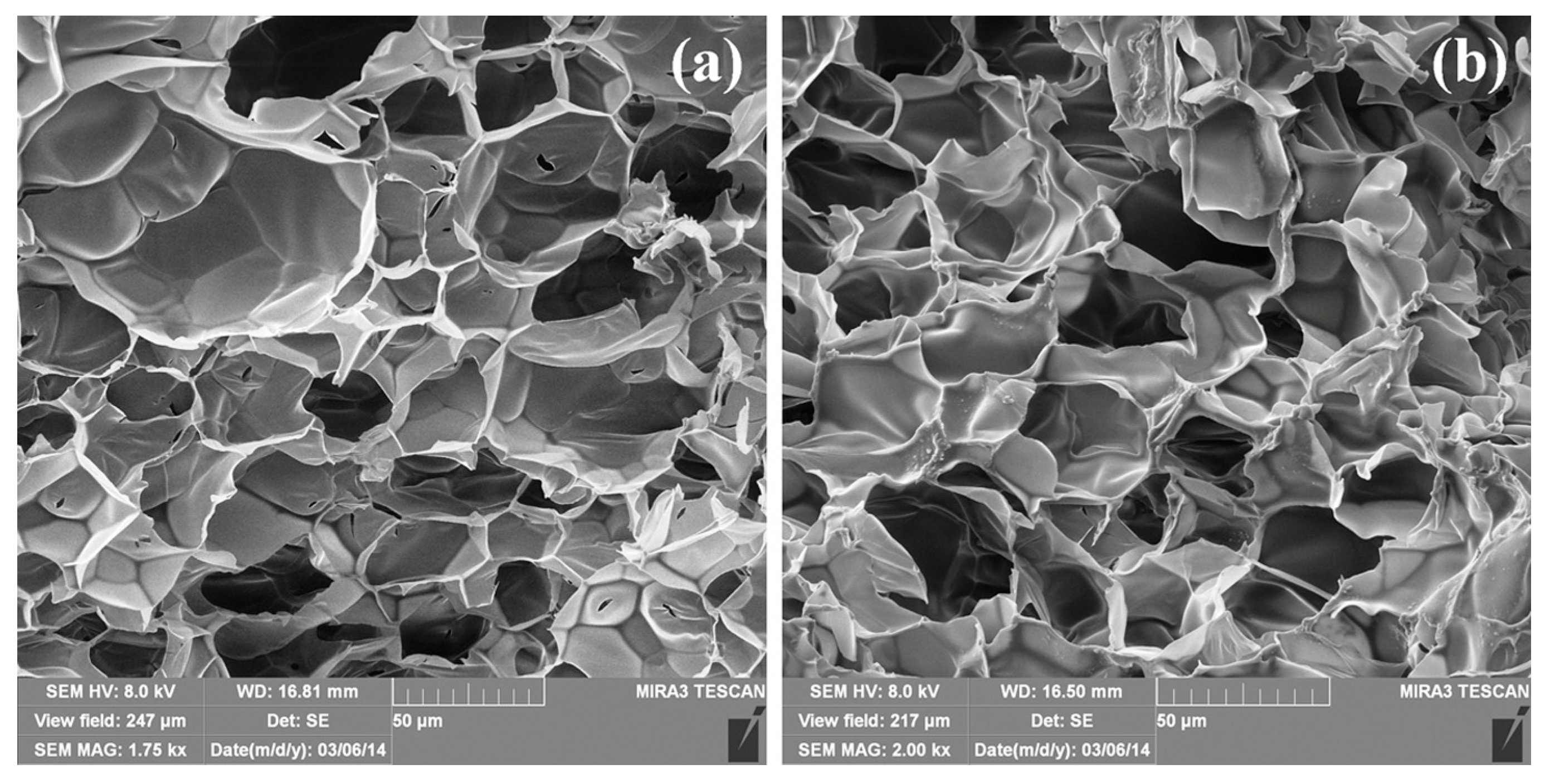 Polymers 16 03211 g001