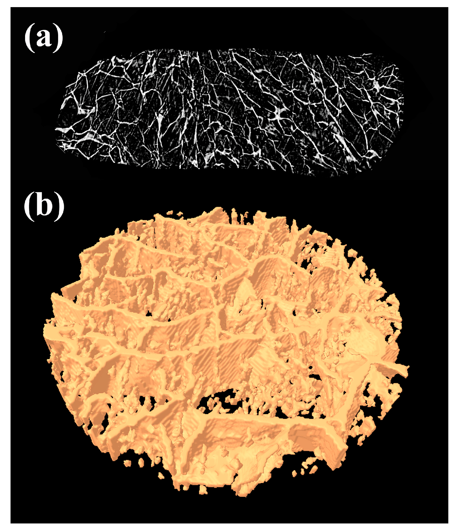 Polymers 16 03211 g002