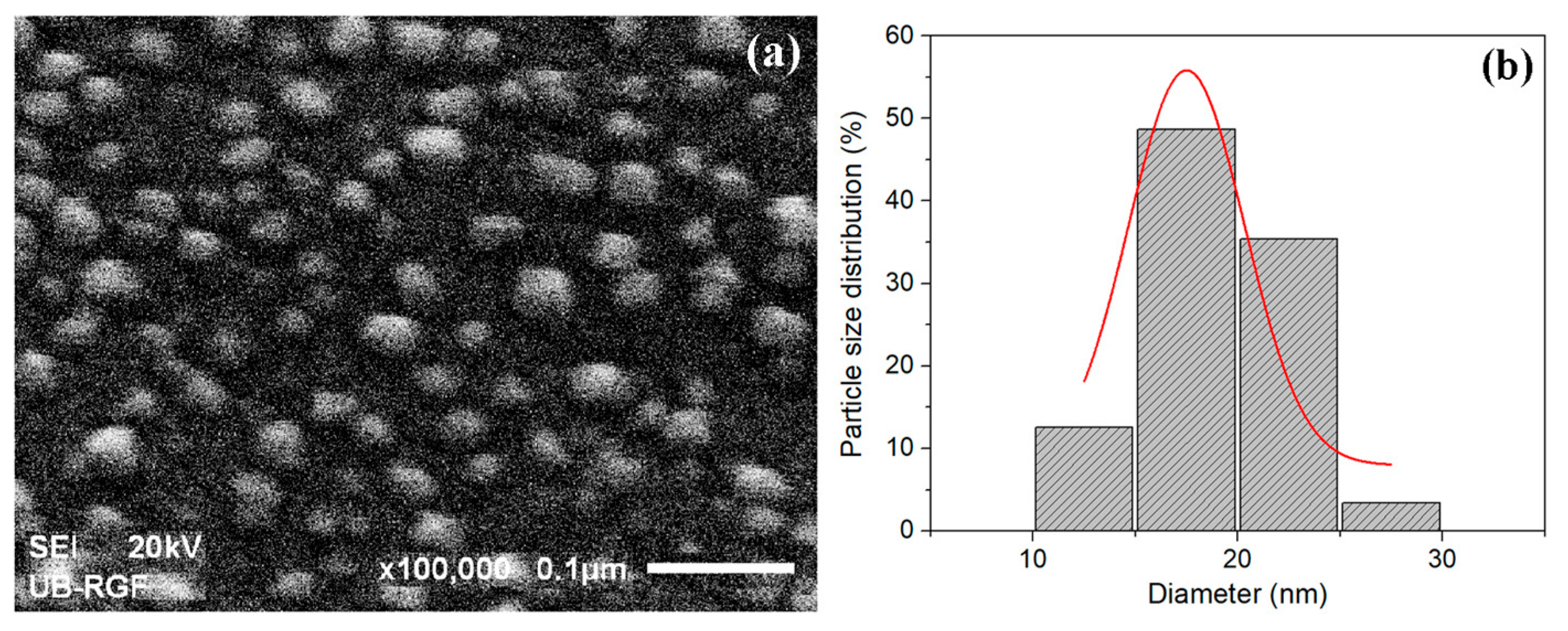 Polymers 16 03211 g006
