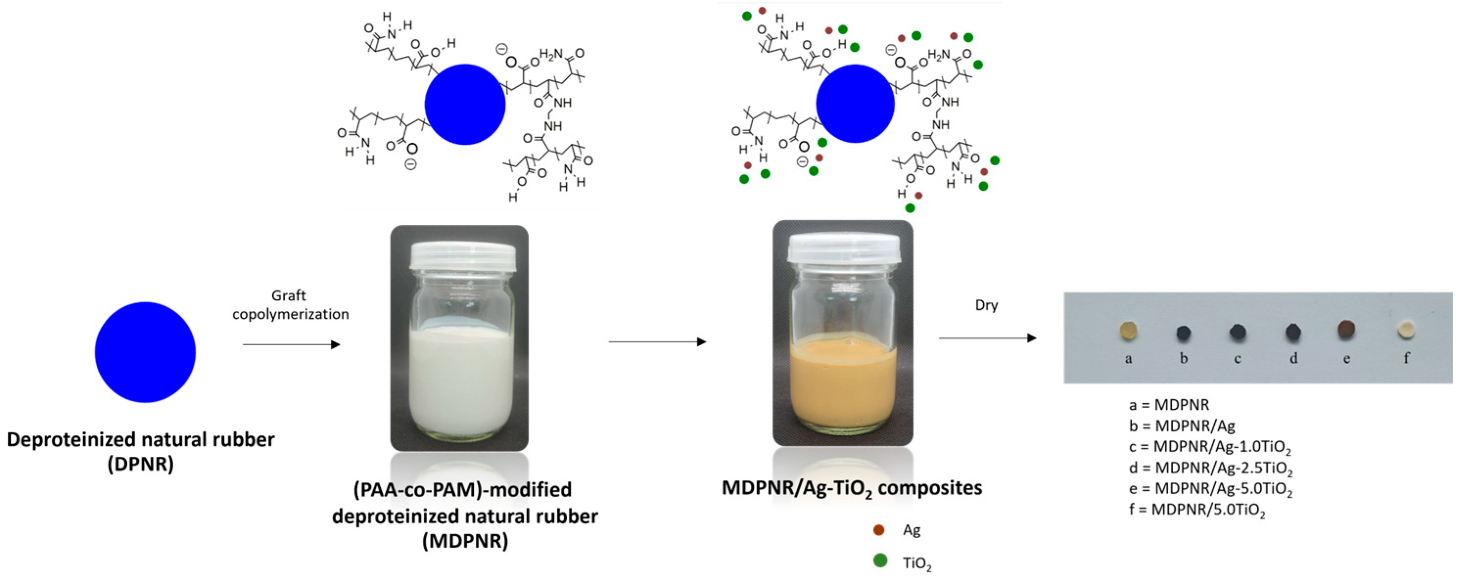 Polymers 16 03218 g001