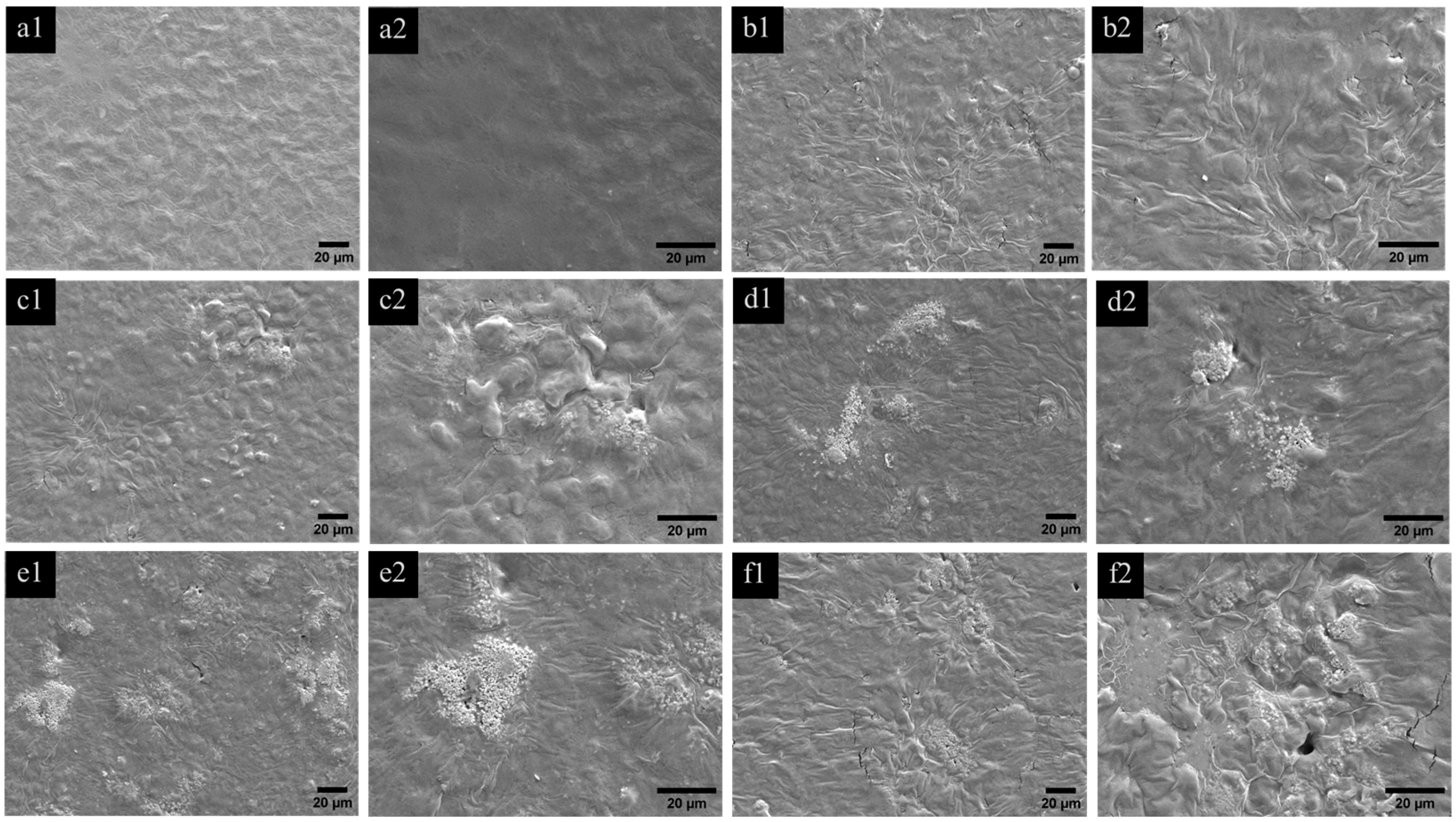Polymers 16 03218 g003