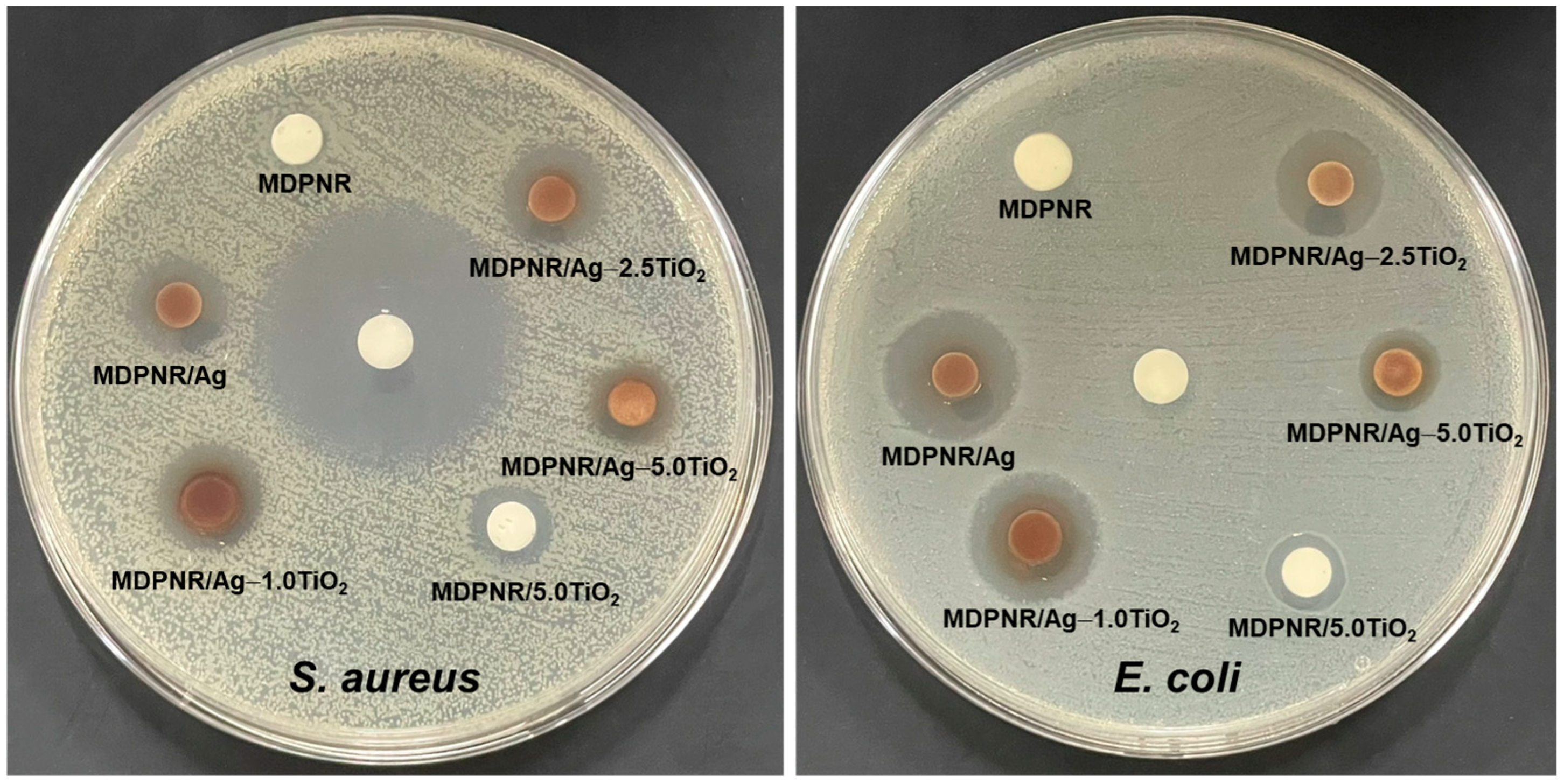 Polymers 16 03218 g008