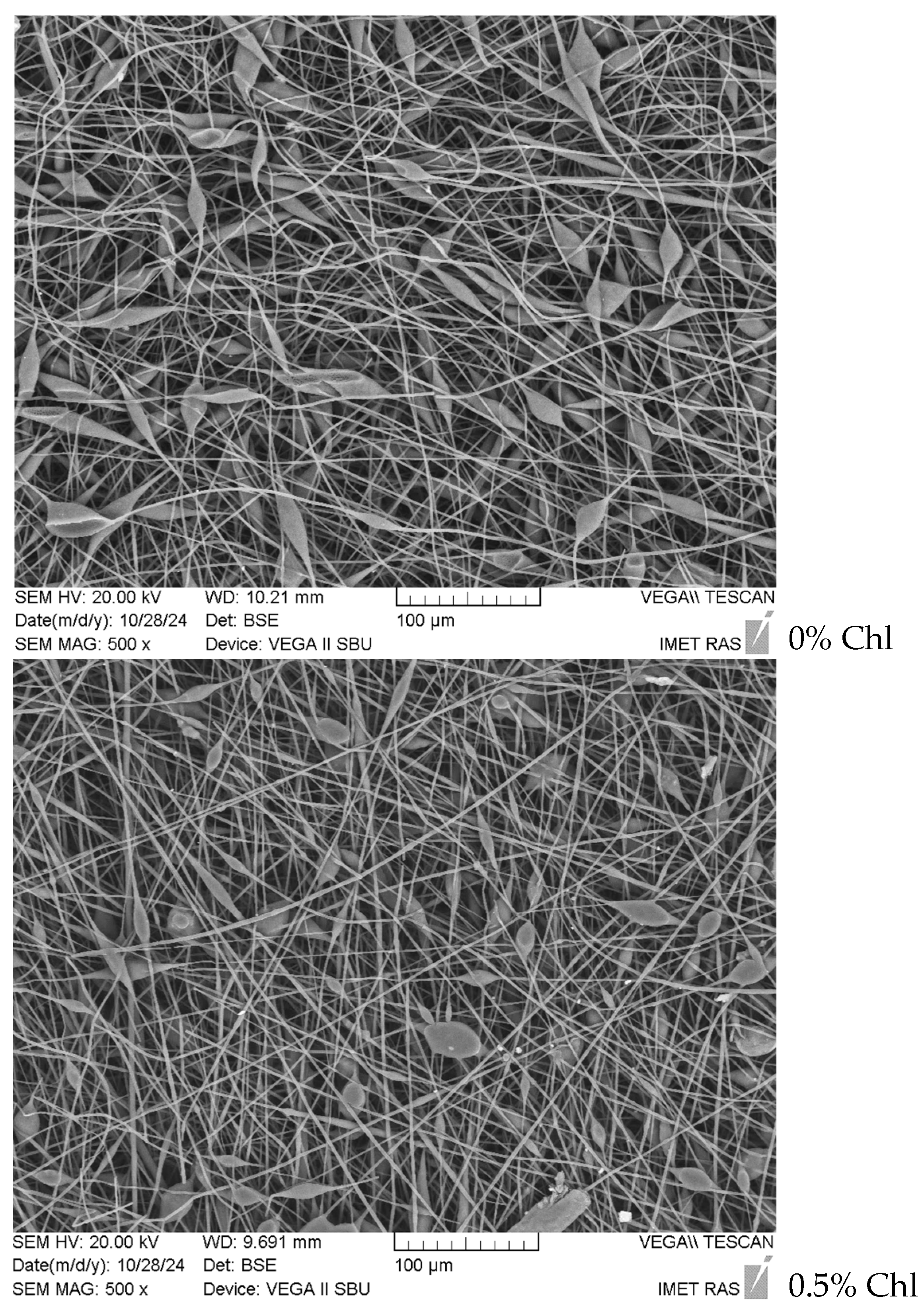 Polymers 16 03221 g001a Polymers 16 03221 g001a