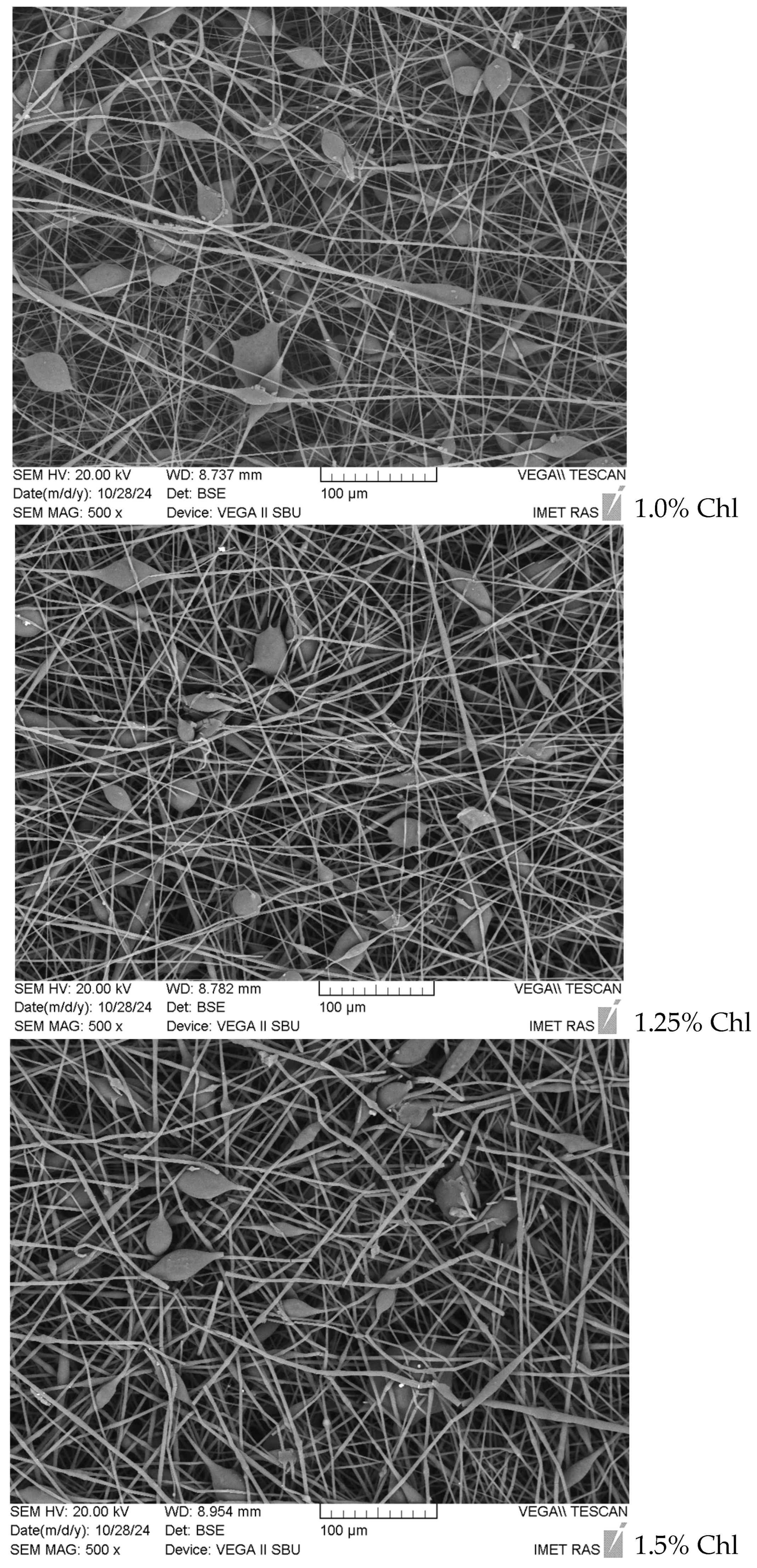 Polymers 16 03221 g001b Polymers 16 03221 g001b