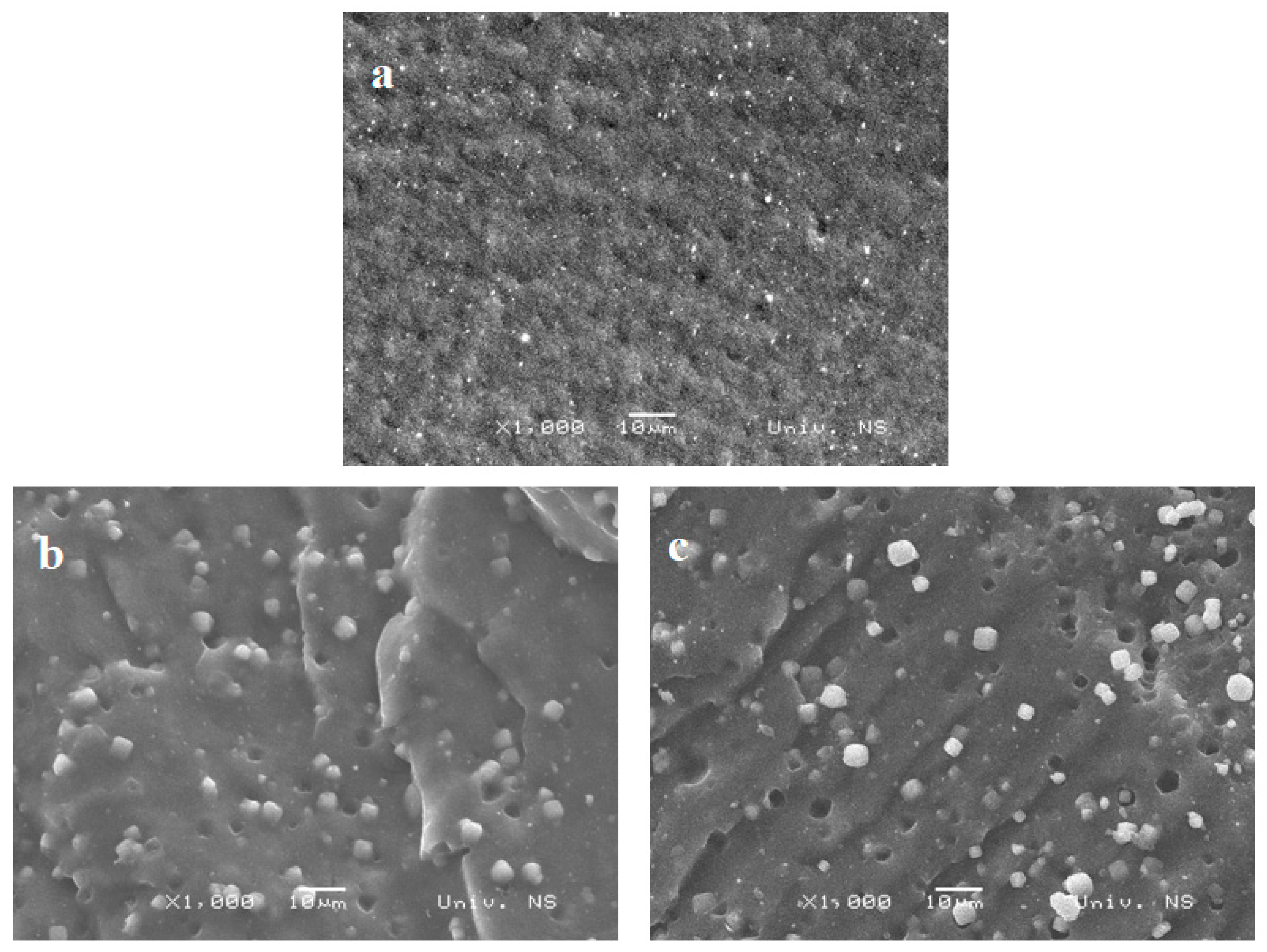 Polymers 16 03228 g002