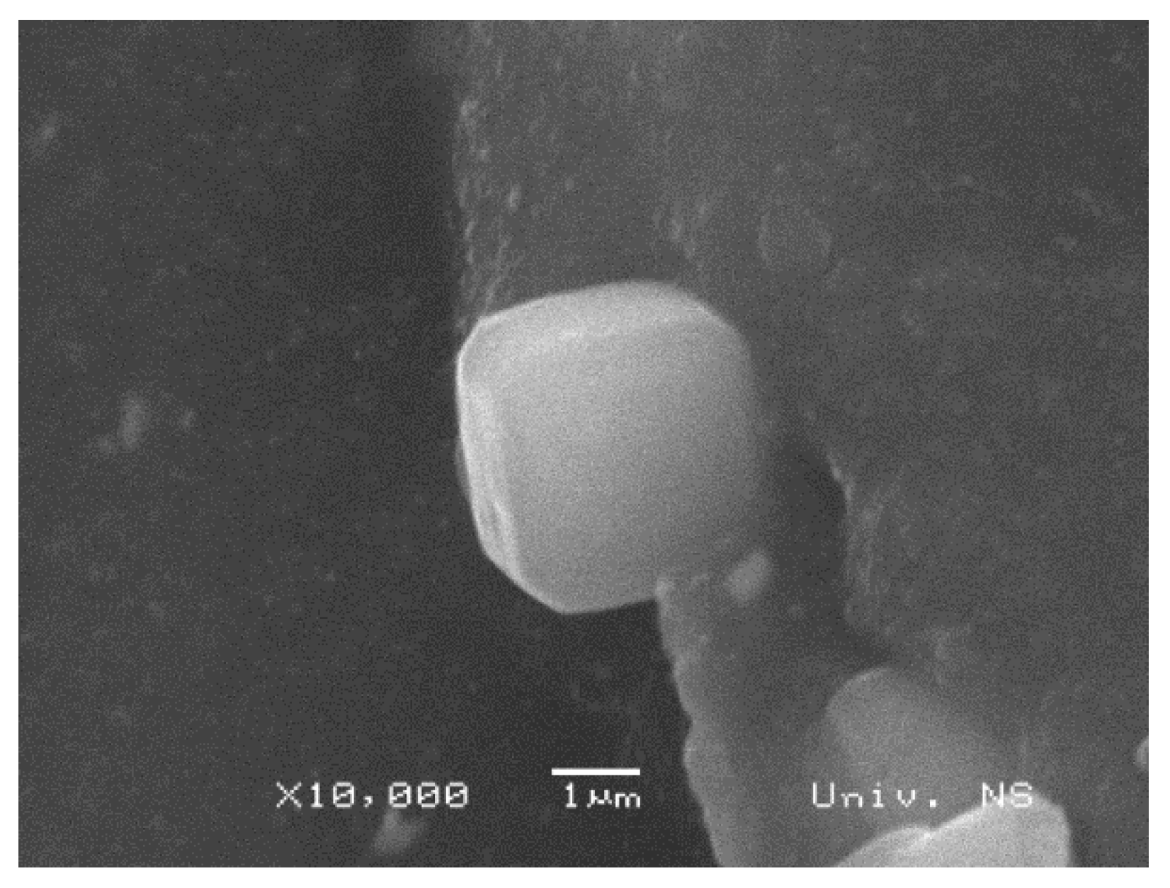 Polymers 16 03228 g003