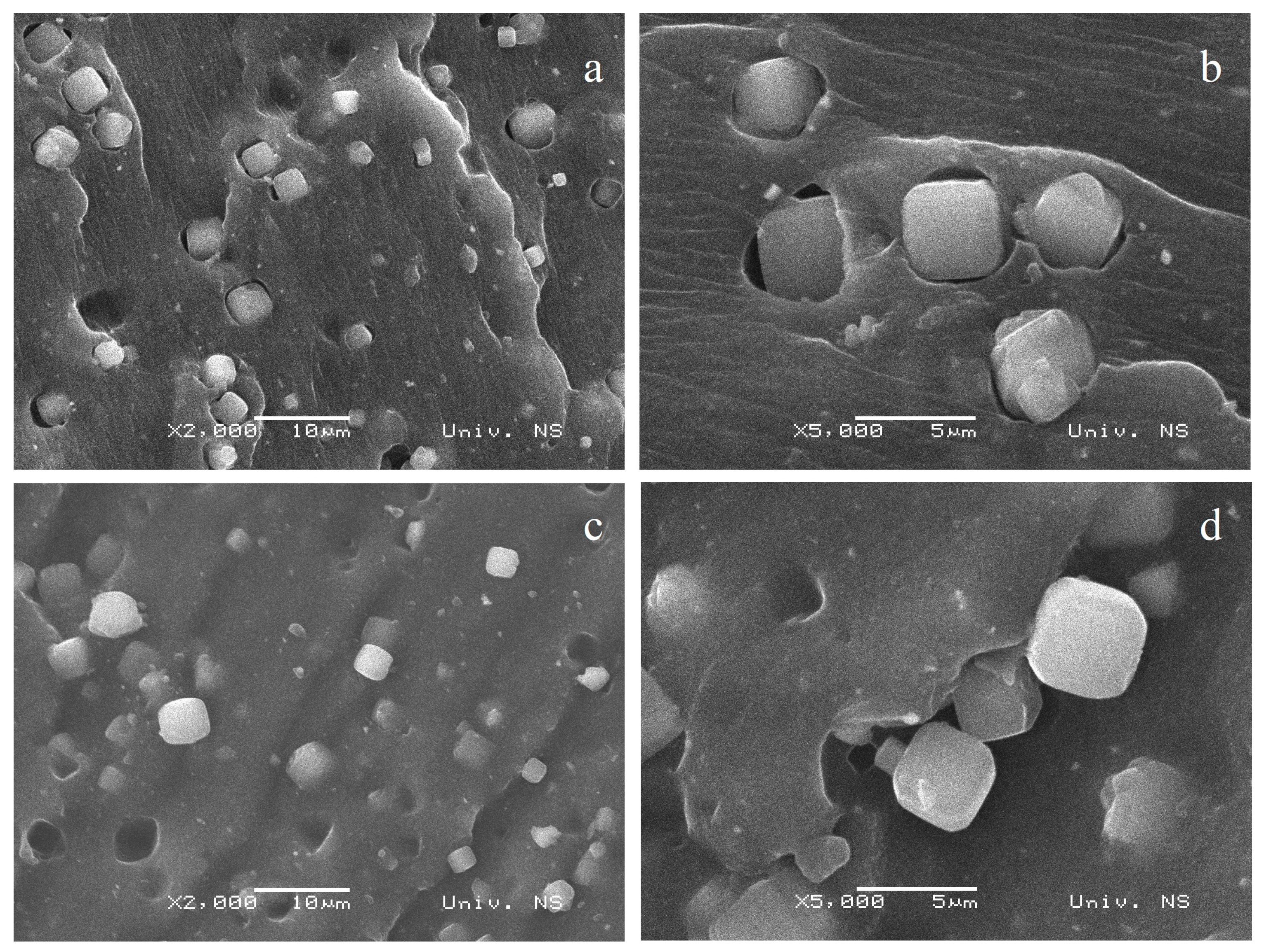 Polymers 16 03228 g004