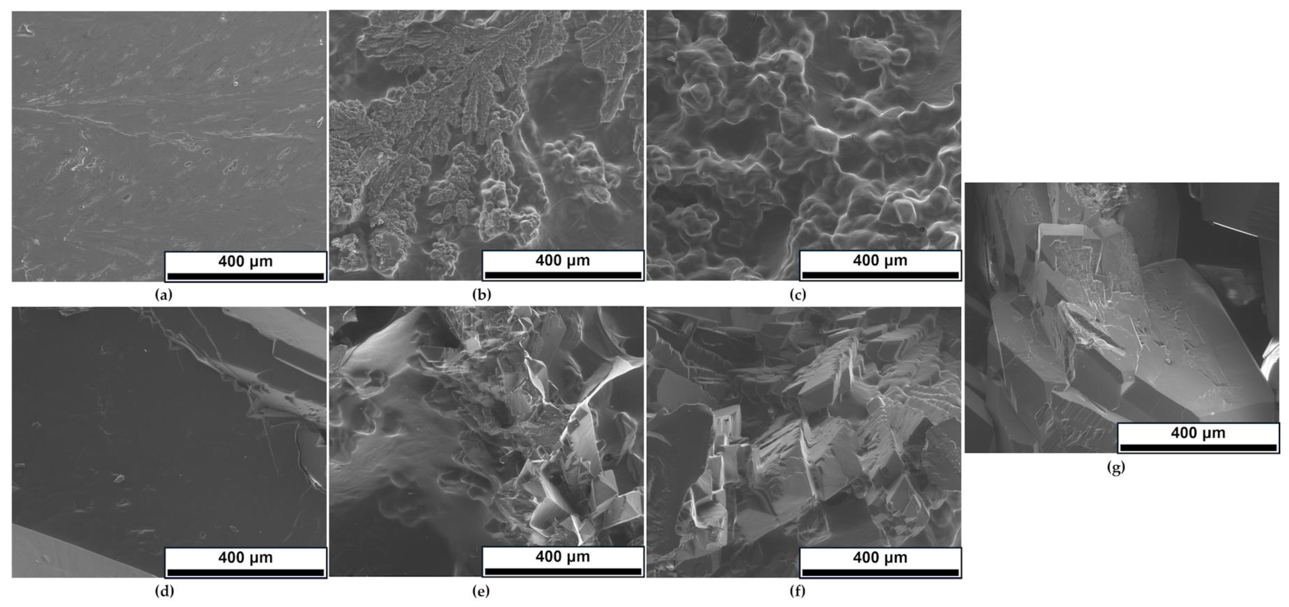 Polymers 16 03229 g009 Polymers 16 03229 g009