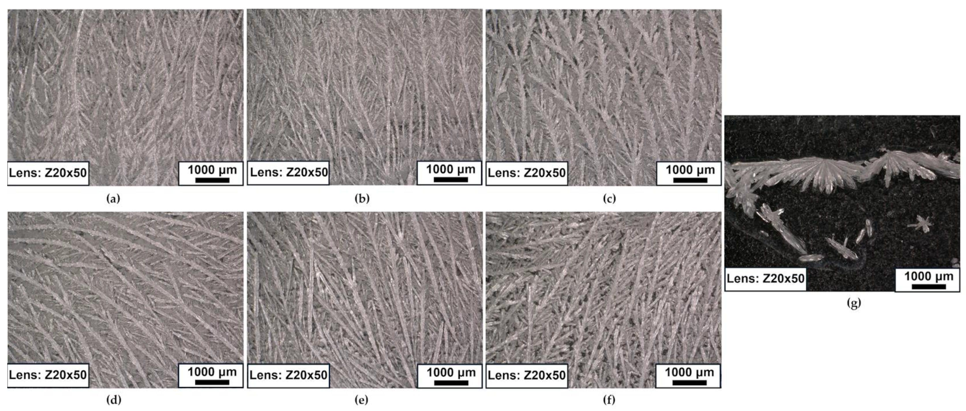 Polymers 16 03229 g011 Polymers 16 03229 g011