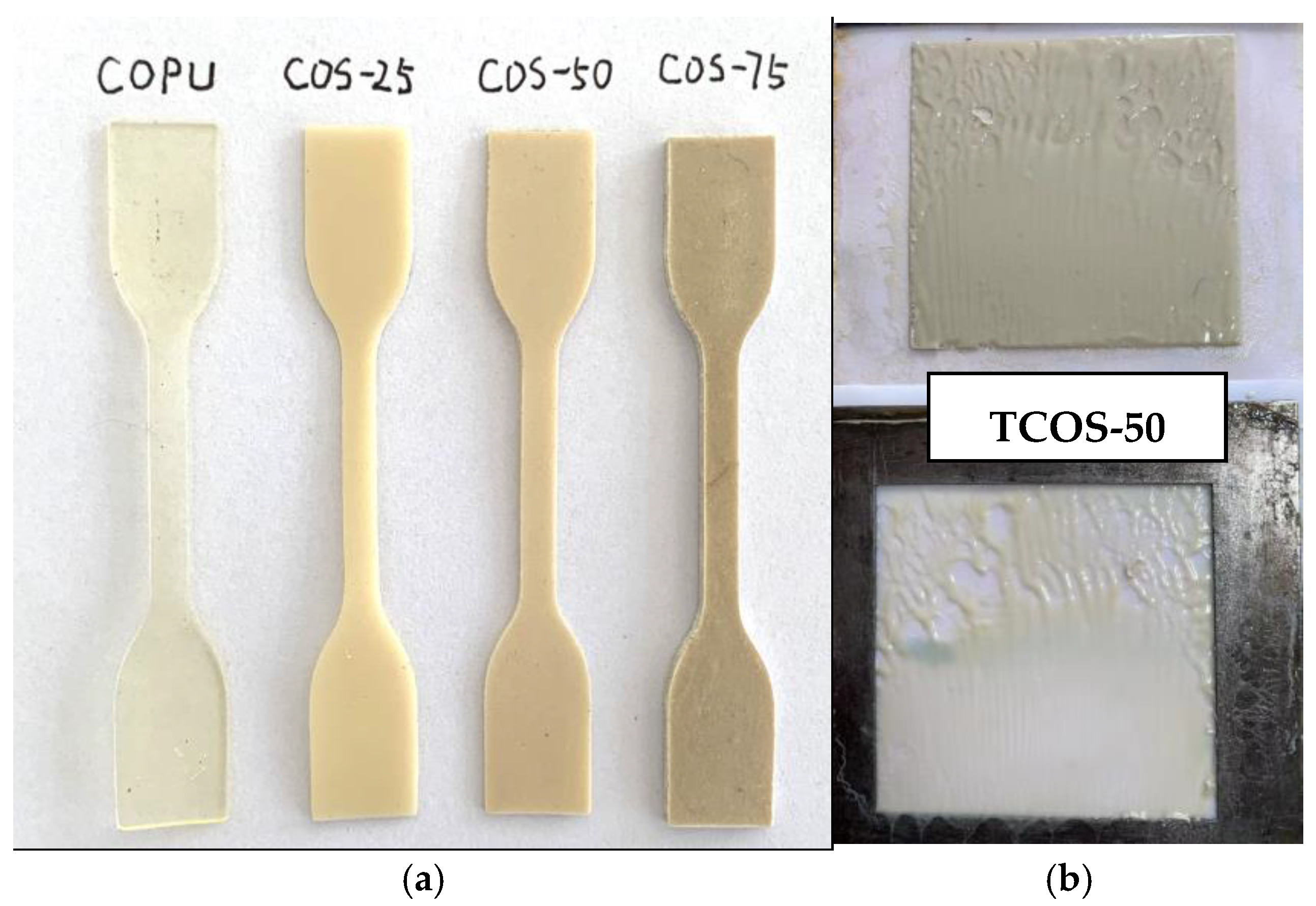 Polymers 16 03232 g001