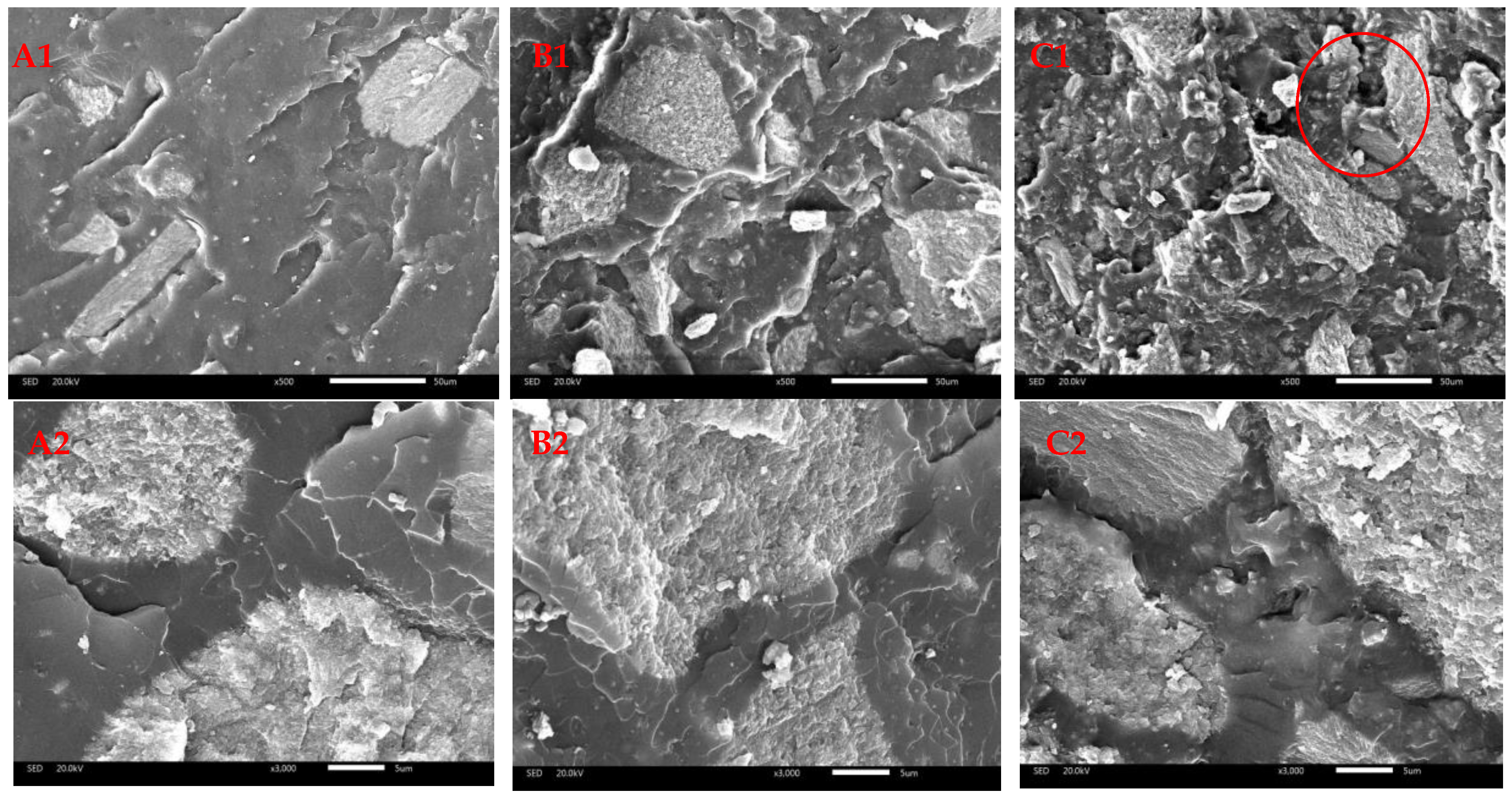 Polymers 16 03232 g003